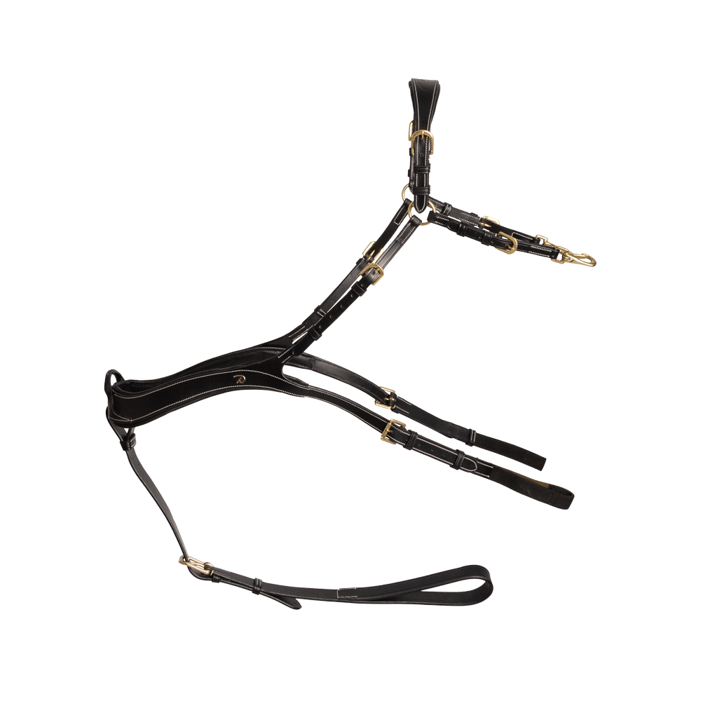 Anatomisches Vorderzeug | Dy'on