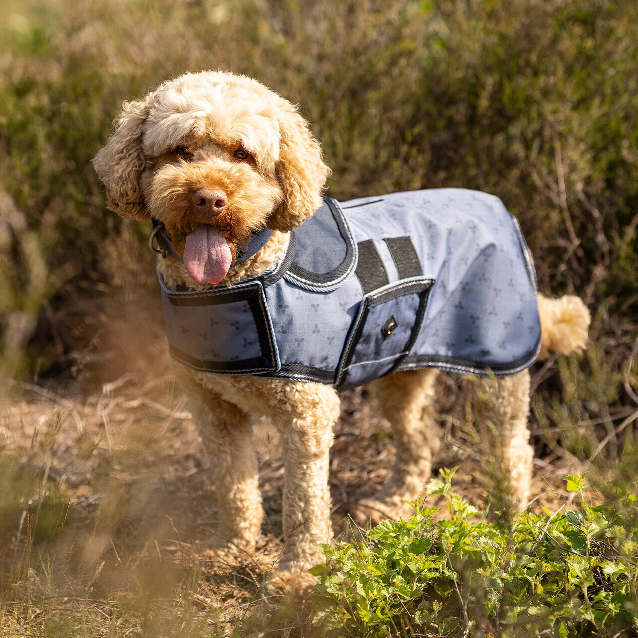 Hundedecke Turnout Collection