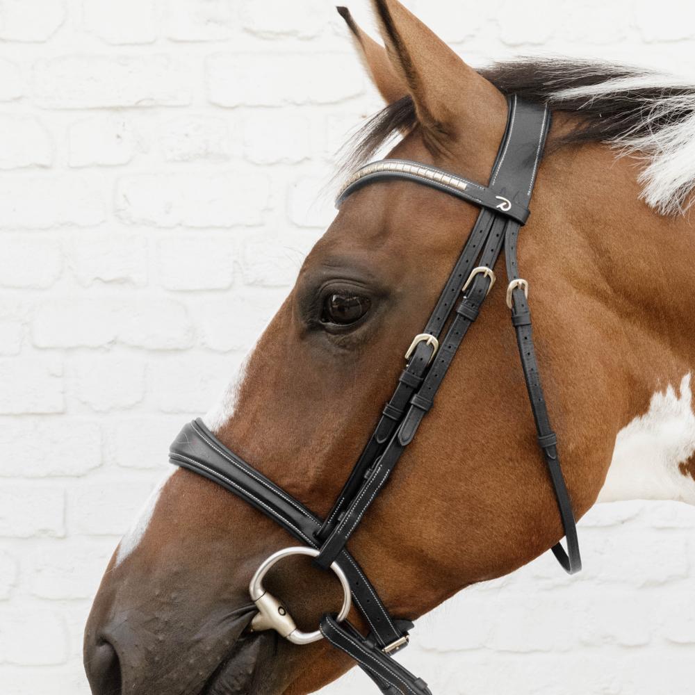 Anatomischer Nasenriemen ohne Sperriemen |