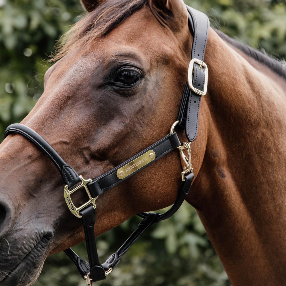 Anatomisch Leder Halfter