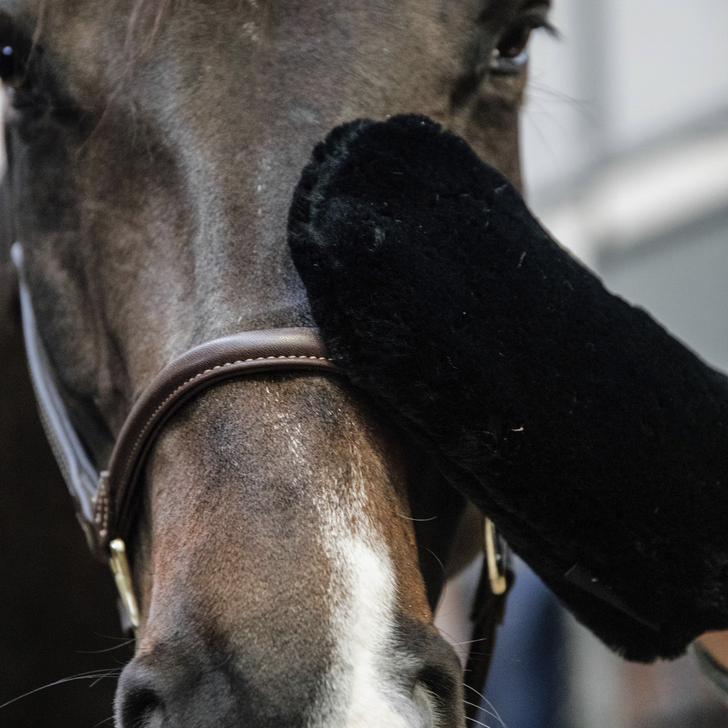 Lamfell Putzhandschuh