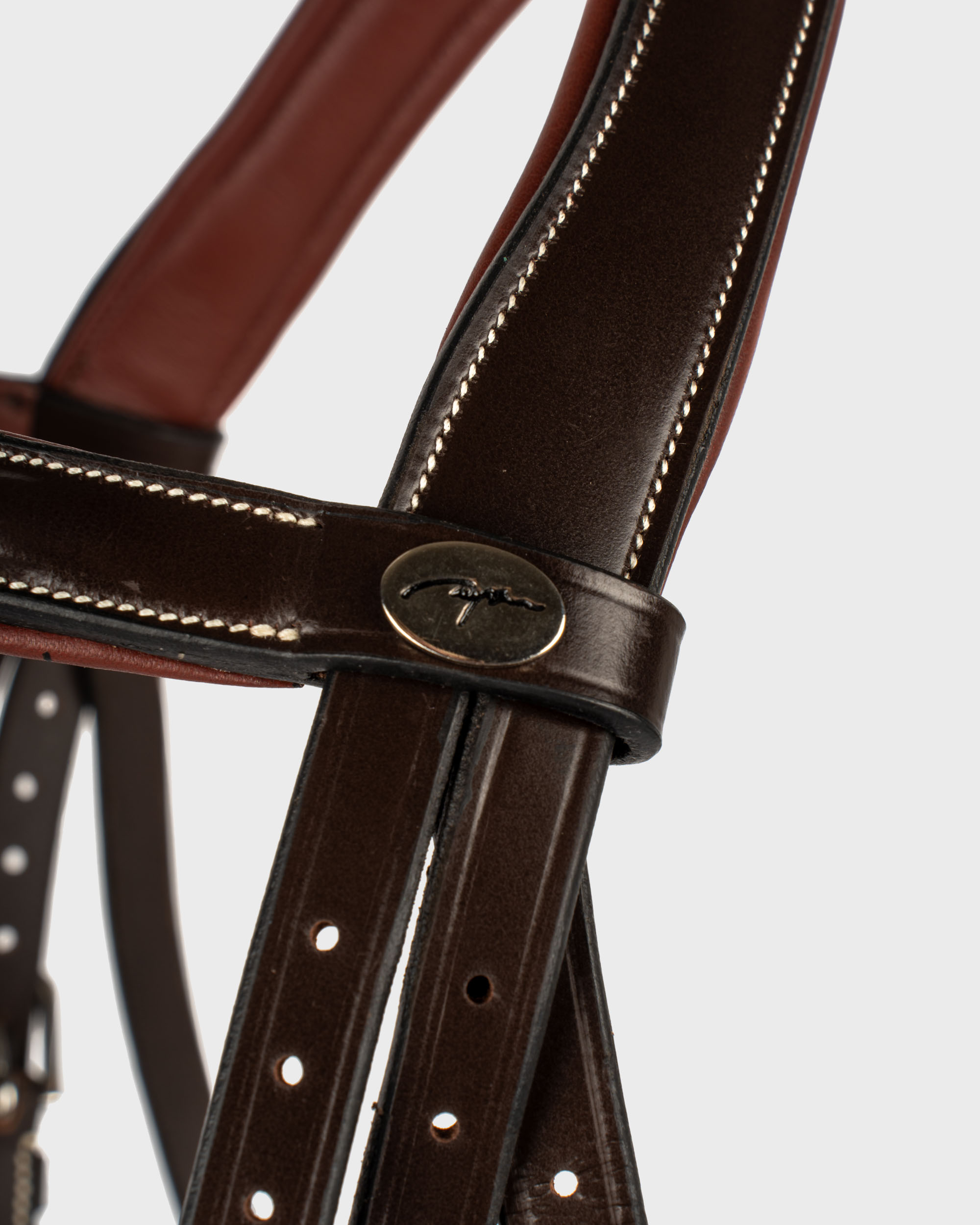 Snaffle Working combined
