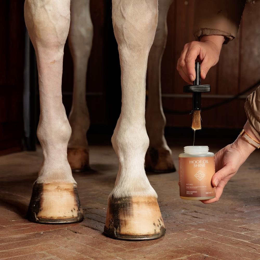 Hoof Oil Shine