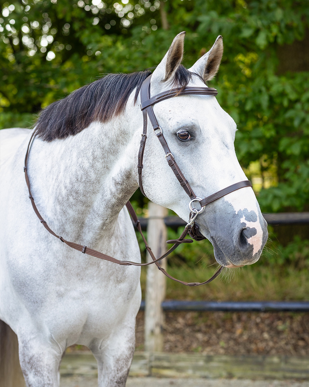 Snaffle bitless Ceto