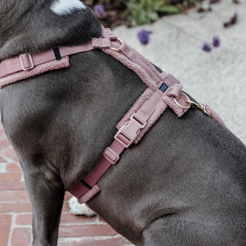 Hundegeschirr Aktiv Teddy Fleece | Kentucky Dogwear