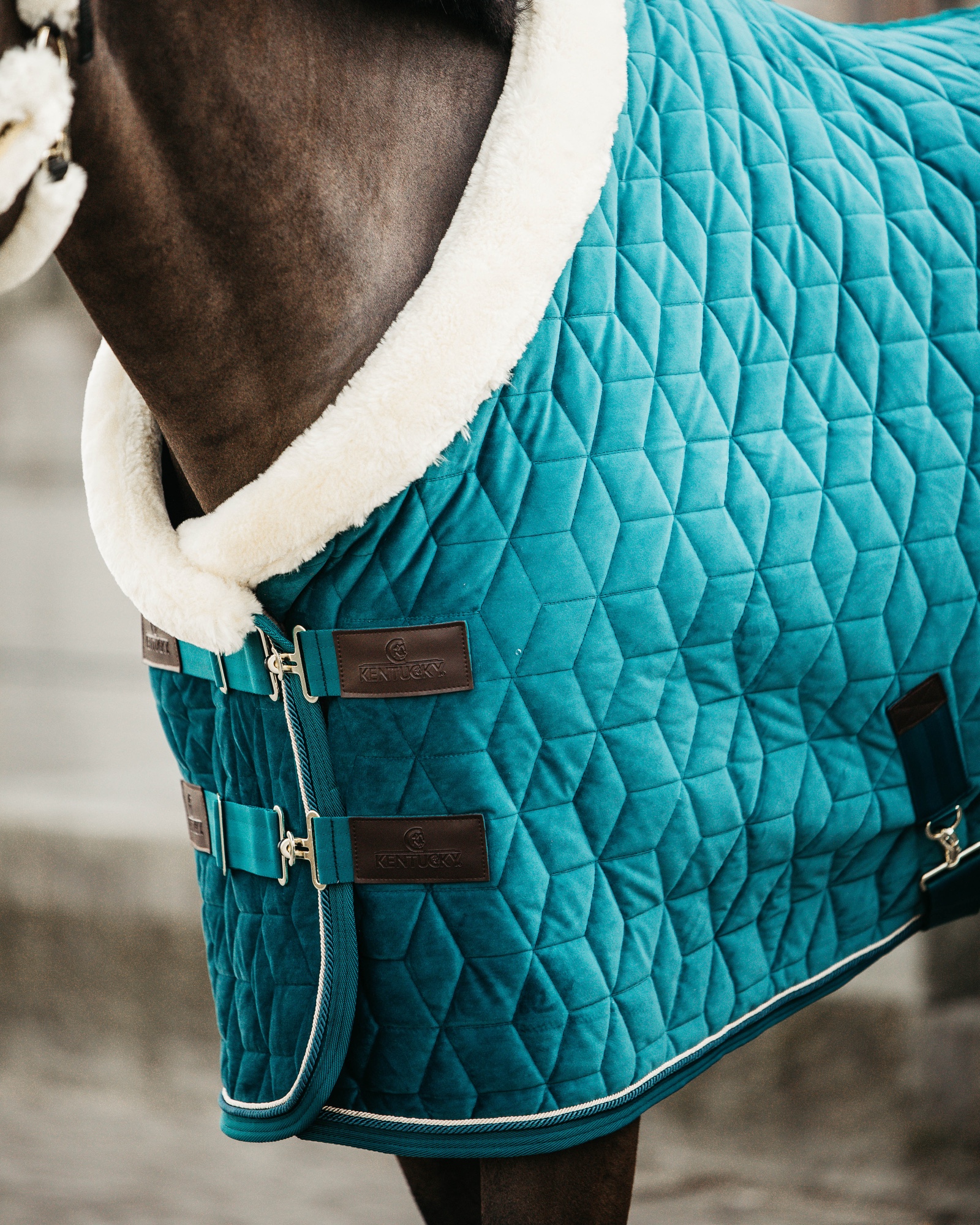 Show rug Show Rug Velvet 160g