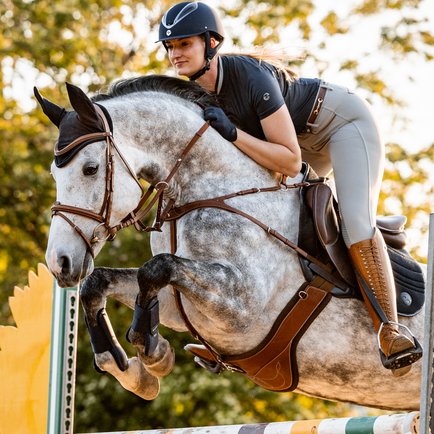 Sattelgurt Take-Off Line SG