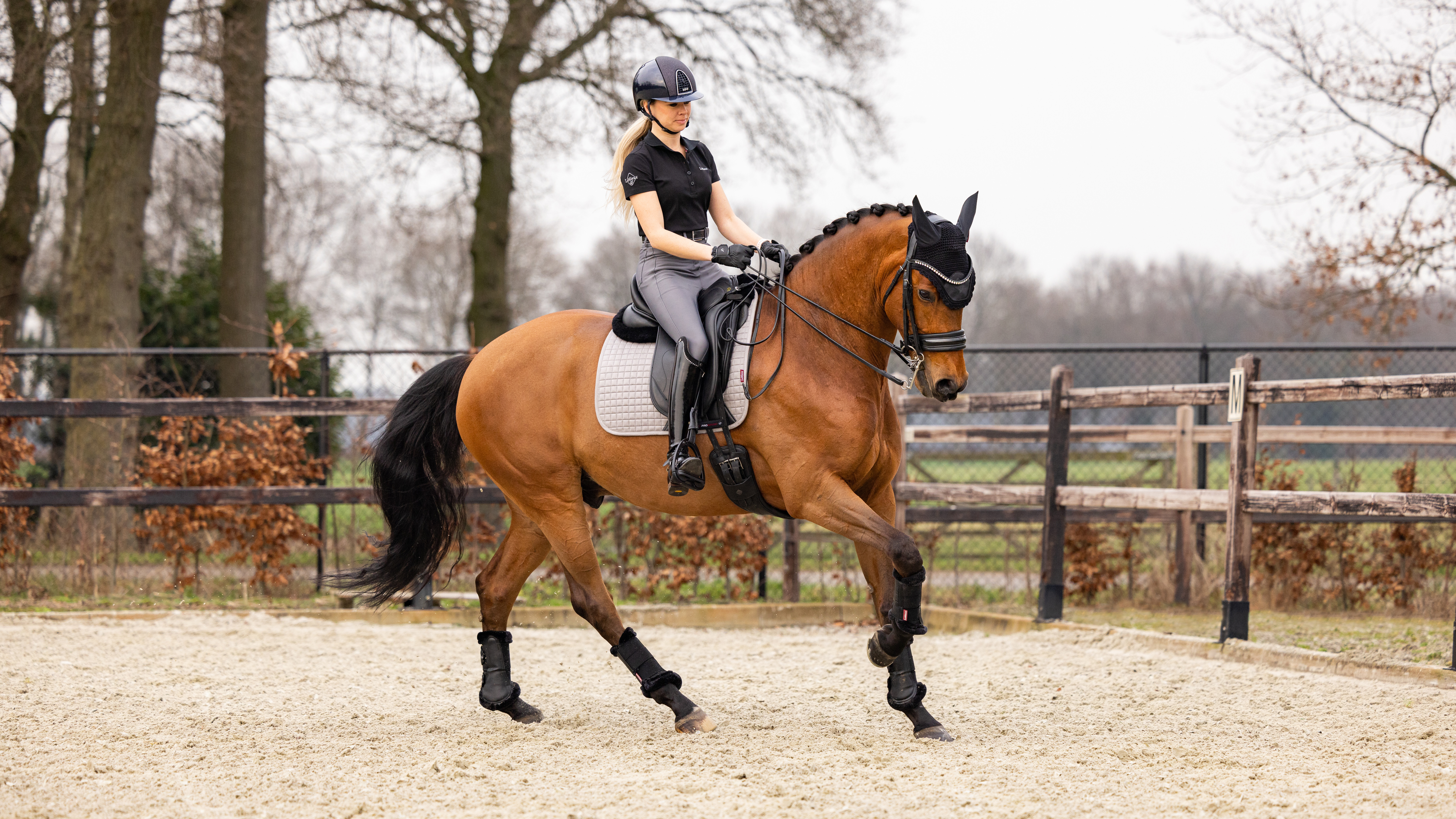 Tapis de dressage coton