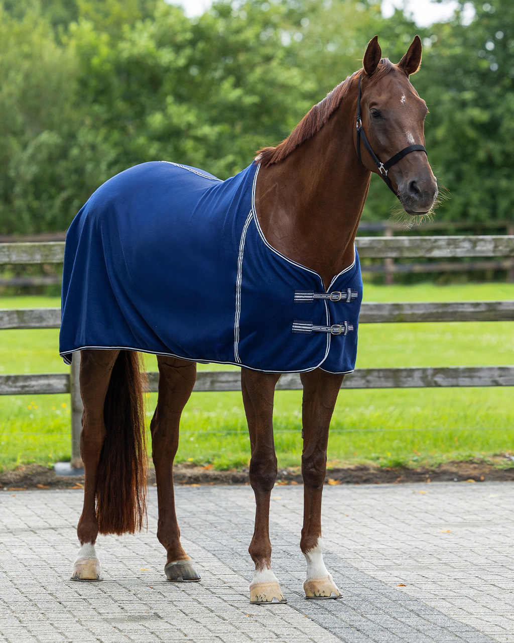 Abschwitzdecke Basic ohne Kreuzgurte