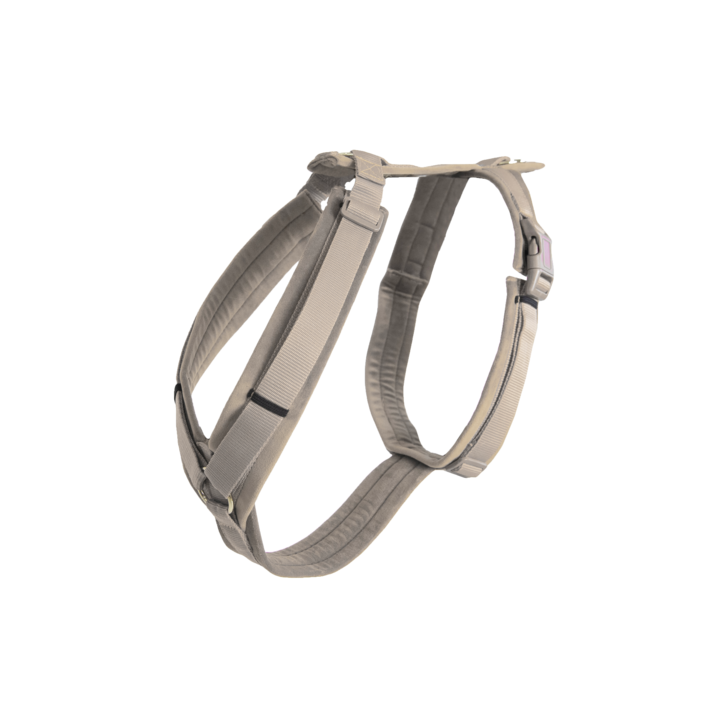 Active Velvet dog harness