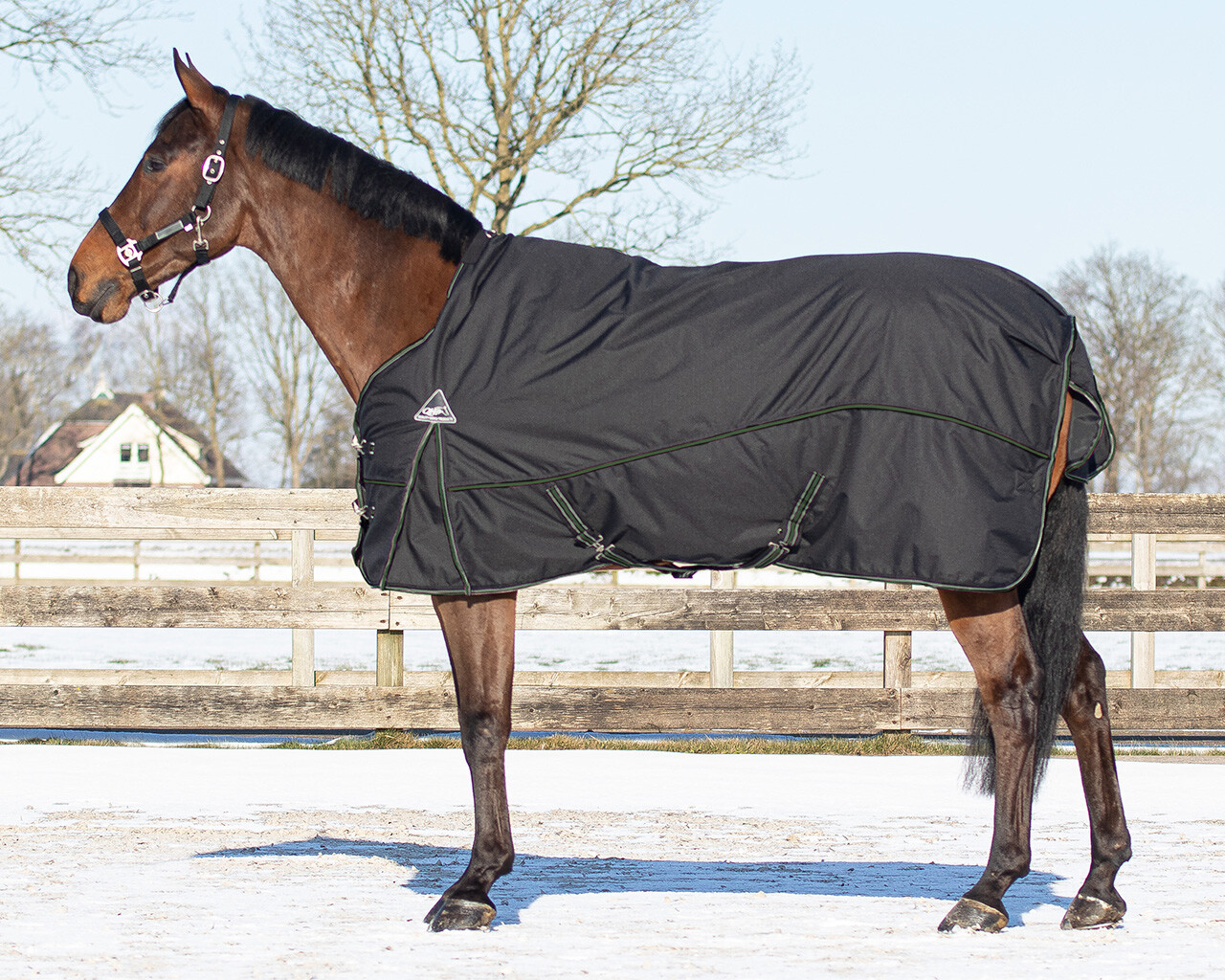 Outdoor Blanket Combi Set Turnout Outdoor Blanket Combi Set Turnout