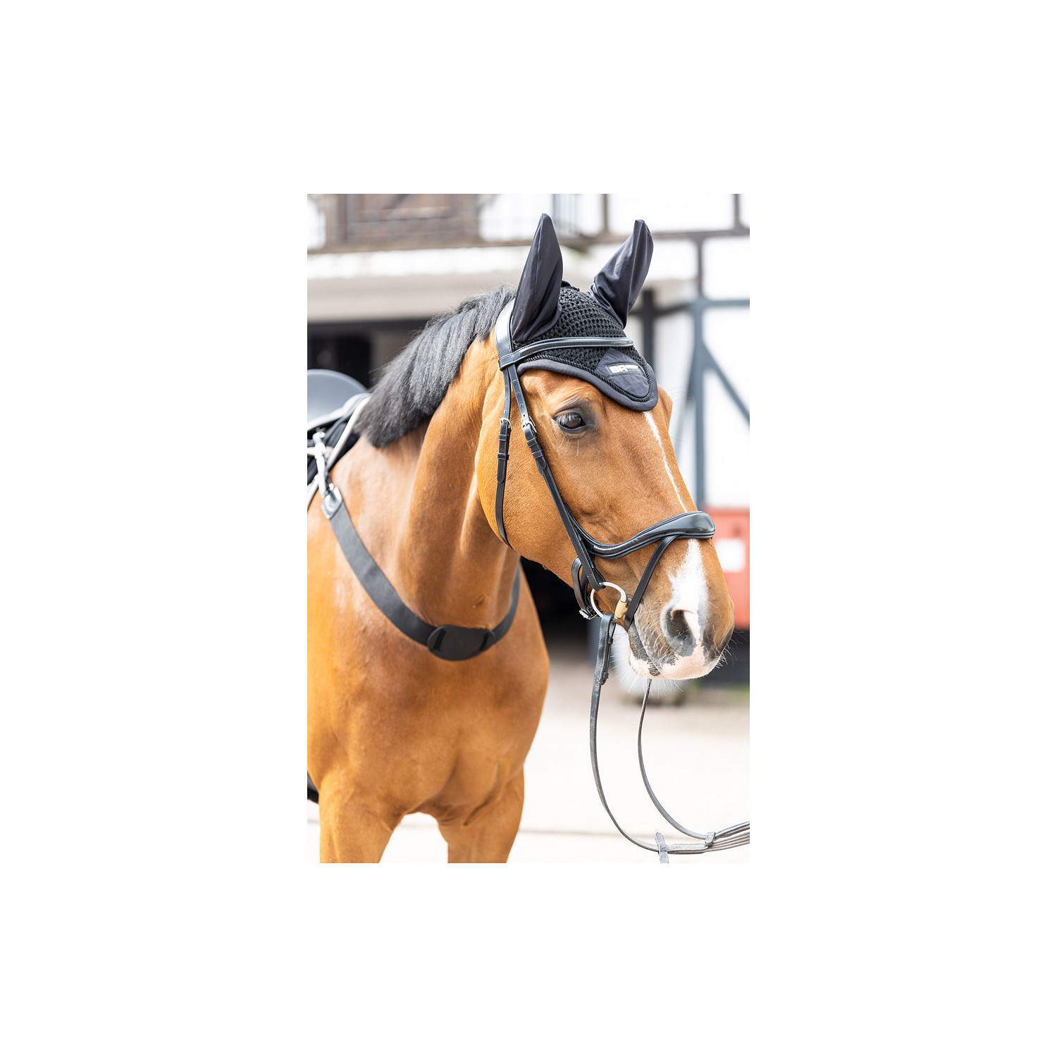 Ohrenhaube Flex in schwarz