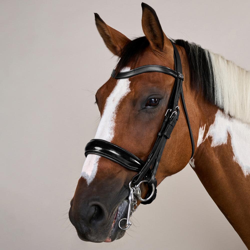 Kandare Working schwedisch Lack in schwarz