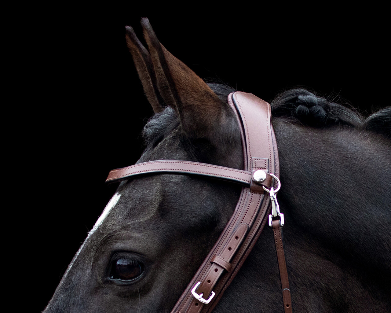 Browband FaySport