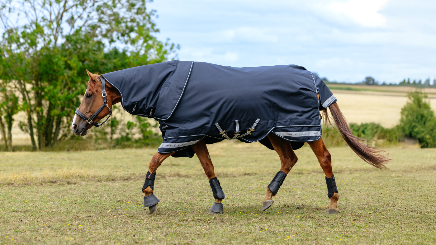 Arika Storm-Tek Weidedecke 200G