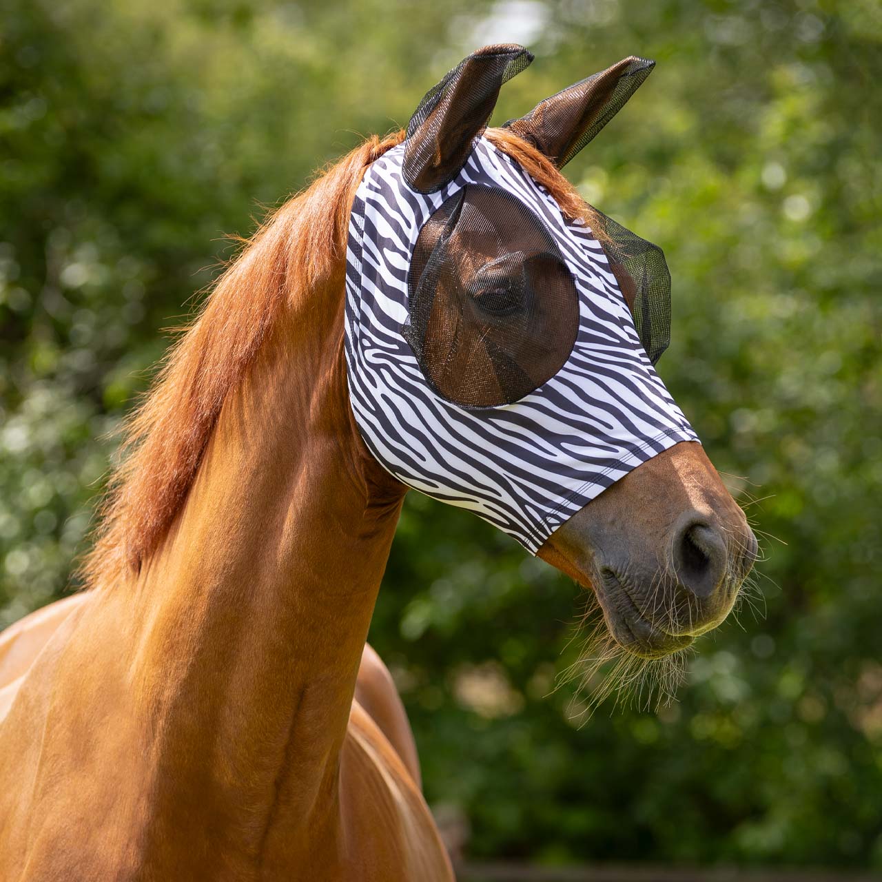 Fly mask Super Bug