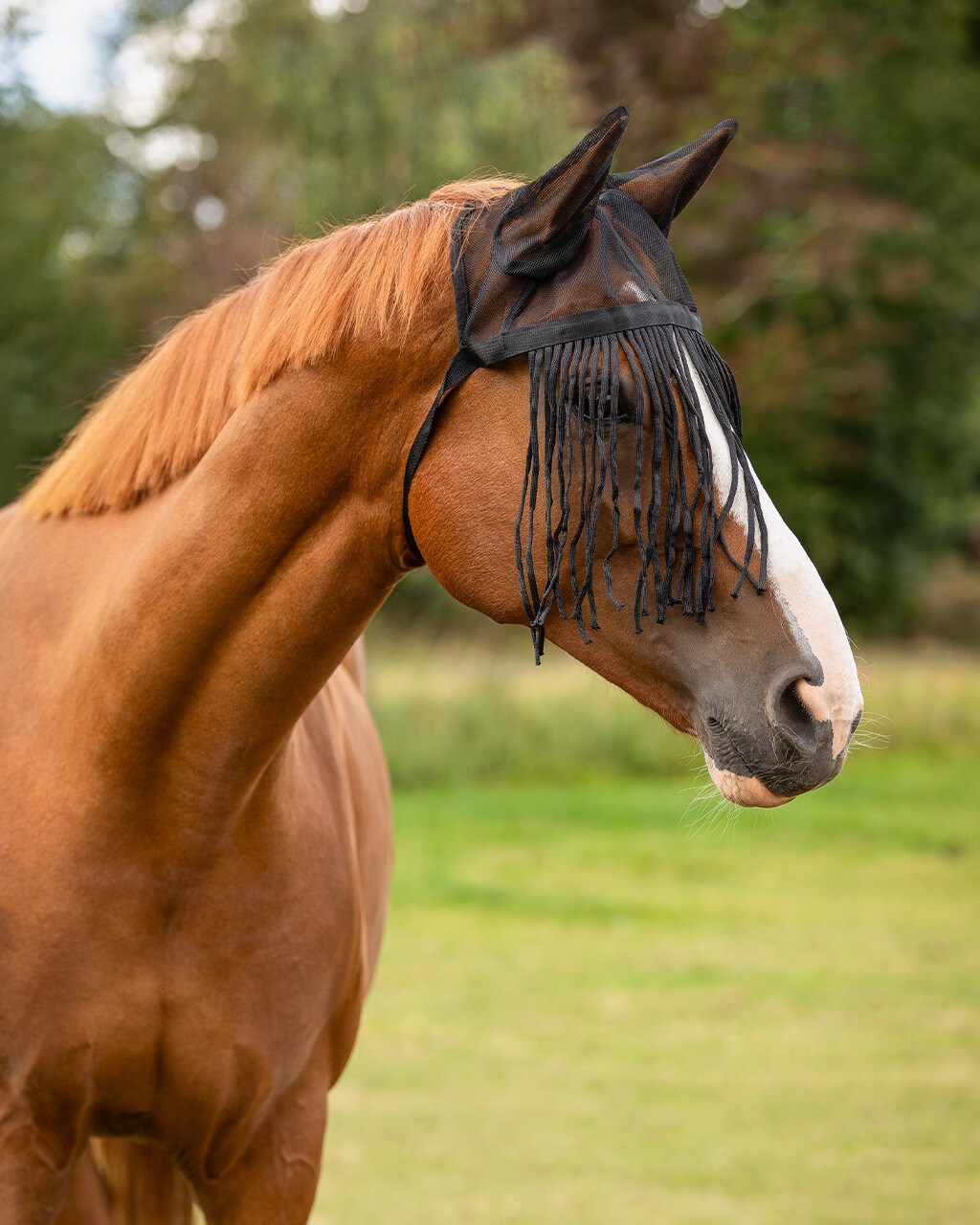 Fly fringes with ears