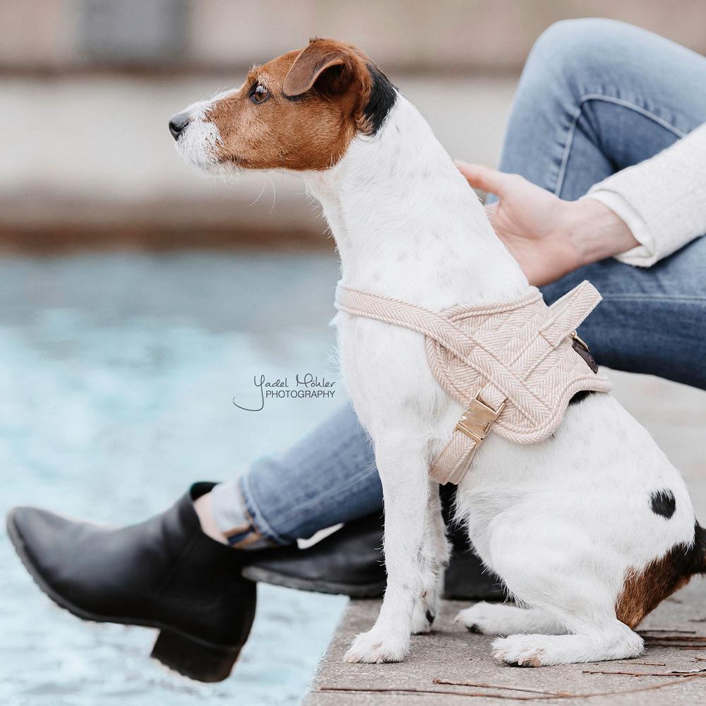 Hundegeschirr Body Safe Wool | Kentucky Dogwear