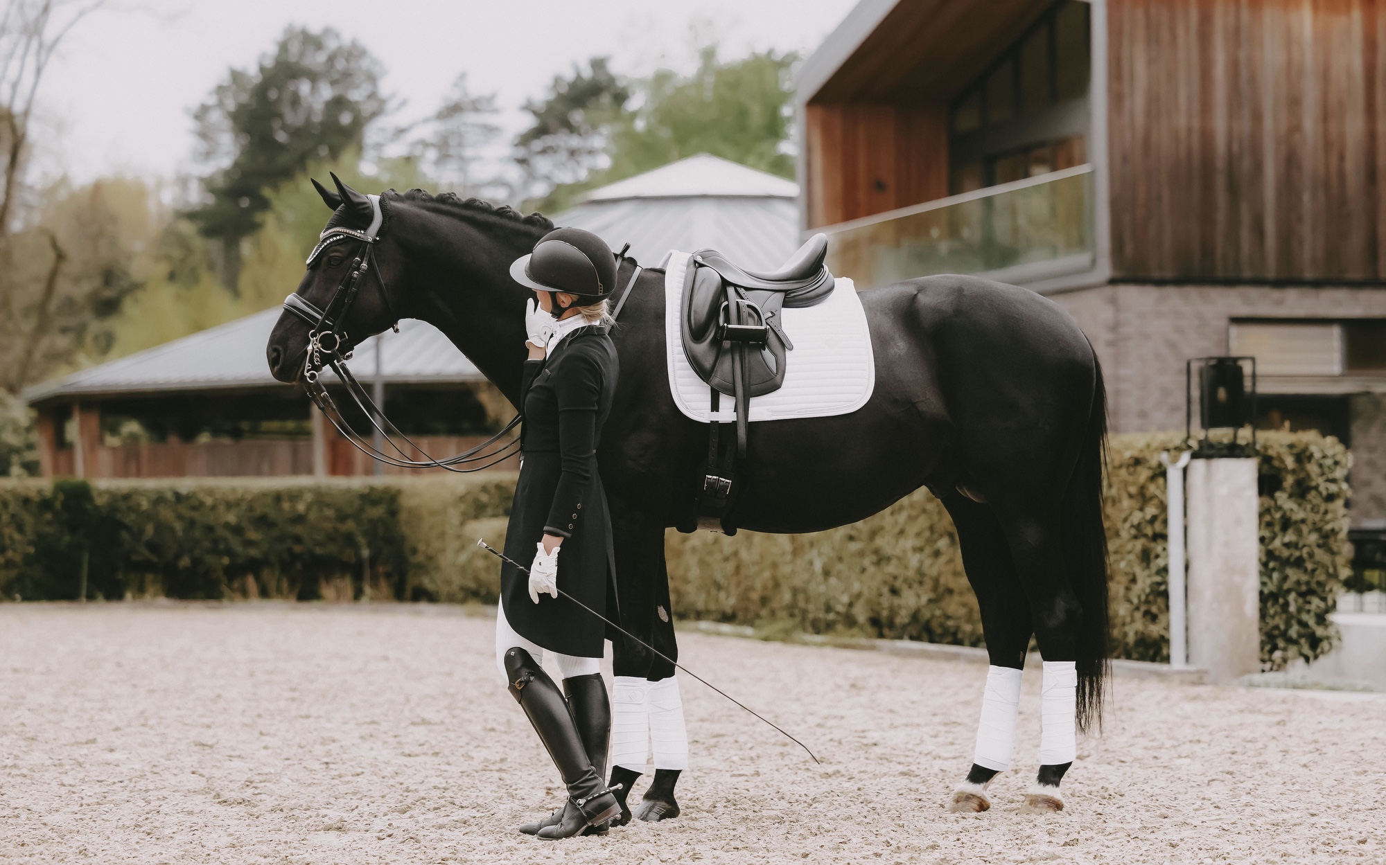 Reiterin mit Pferd in Turnieroutfit