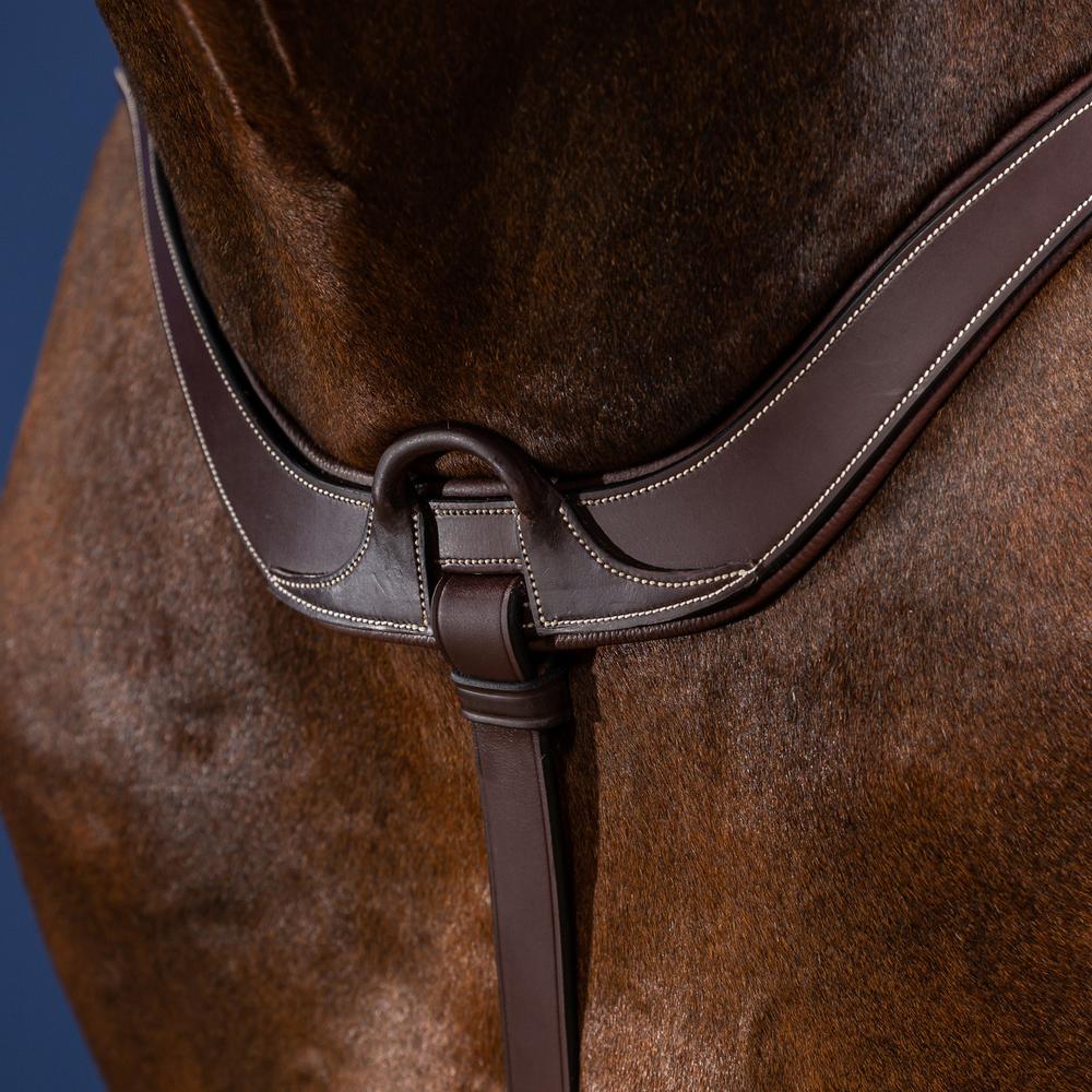 Anatomical breastplate