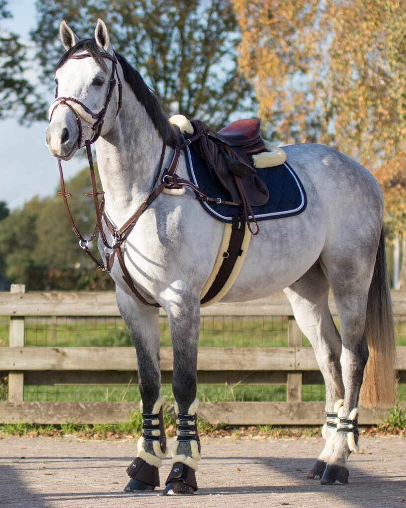 Versatility belt Ontario