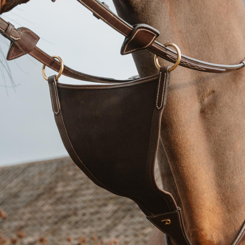 Geschlossene Elastische Martingal |