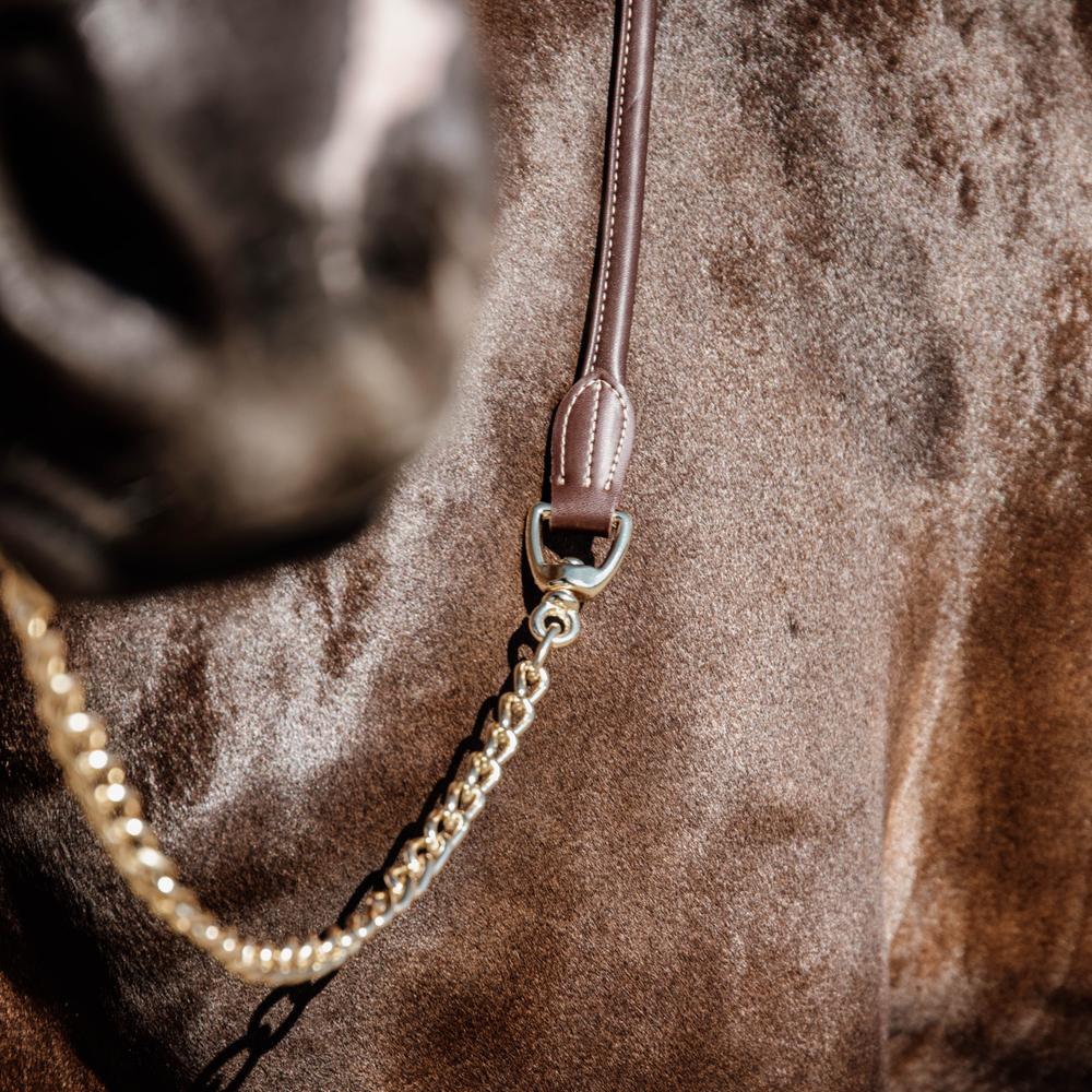 Führleine Leder Mit Kette