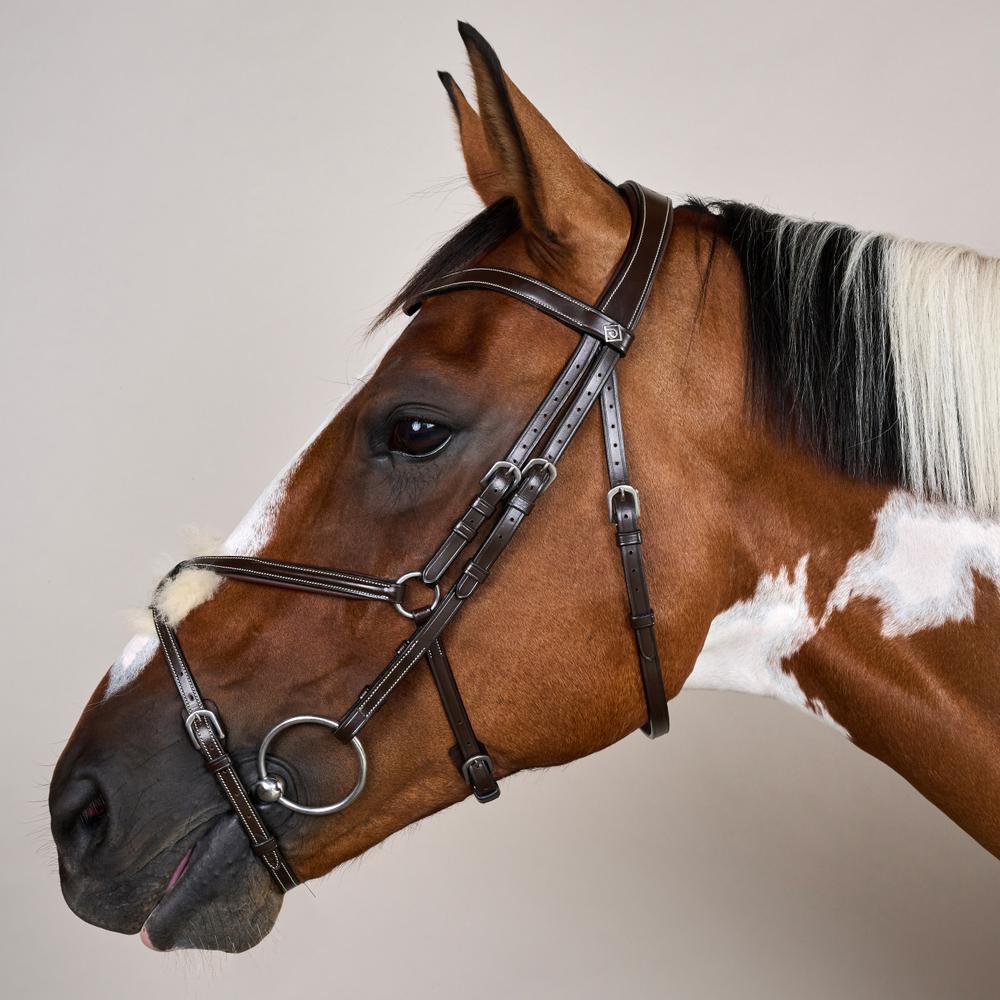 Trense mit mexikanischem Reithalfter WO