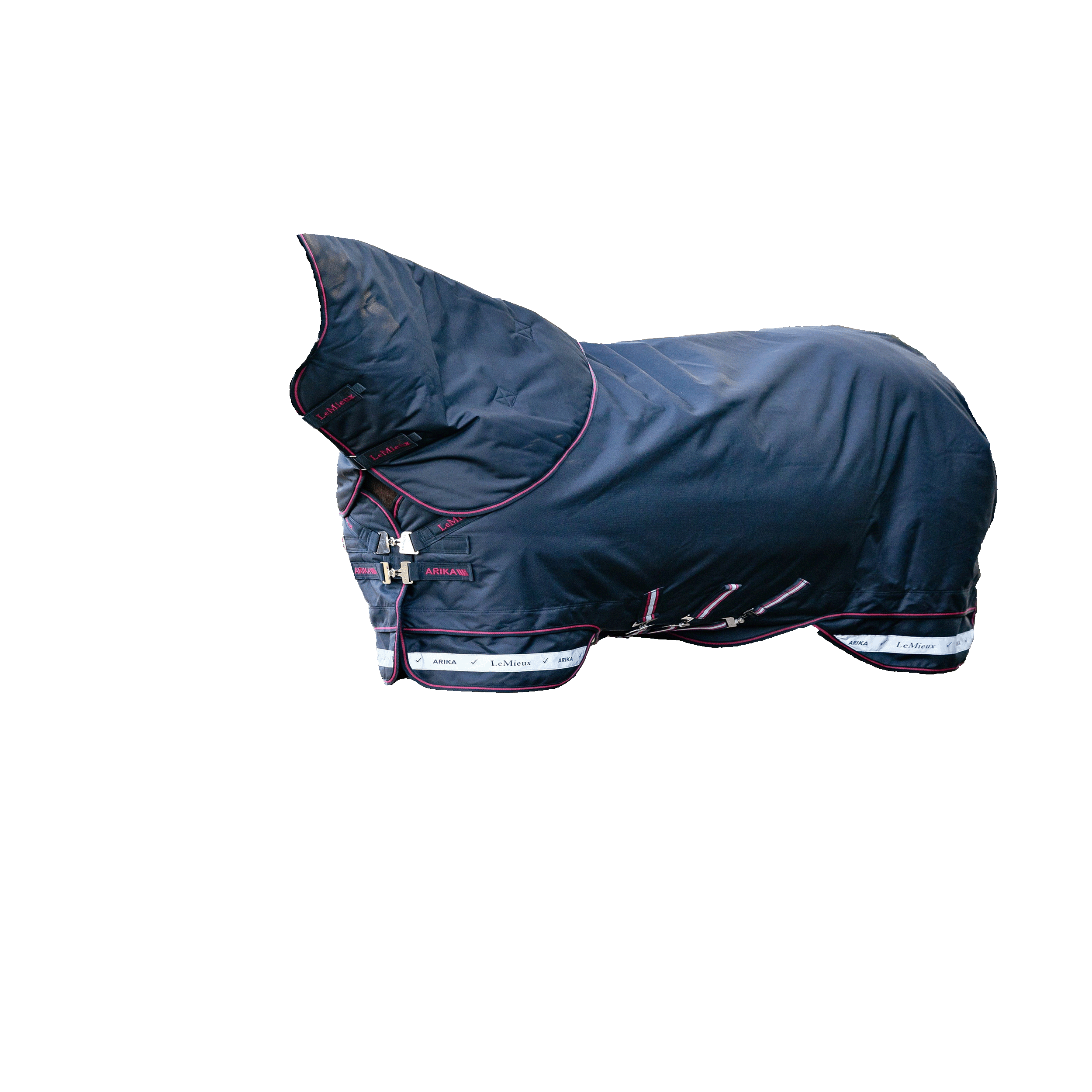 Arika Storm-Tek Weidedecke 100G