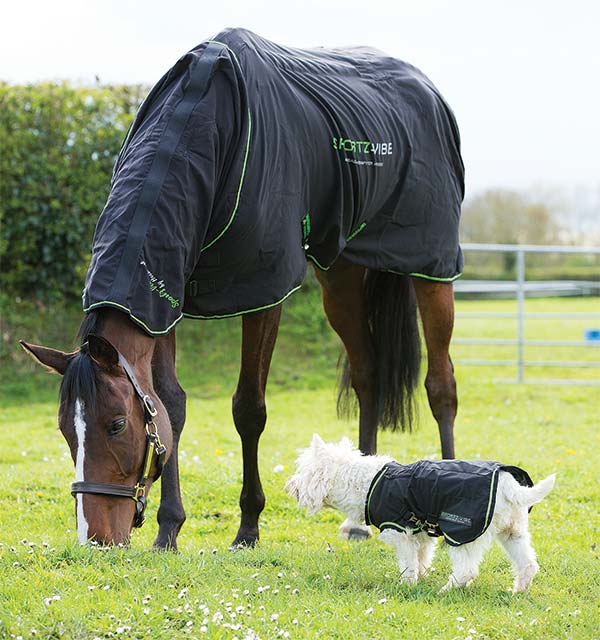 Sportz-Vibe dog blanket in black/green