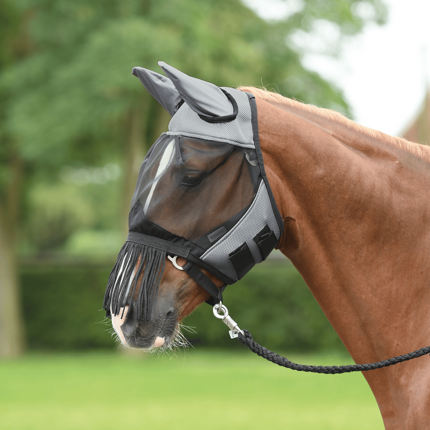 Fliegenmaske Fly Cover Fransen