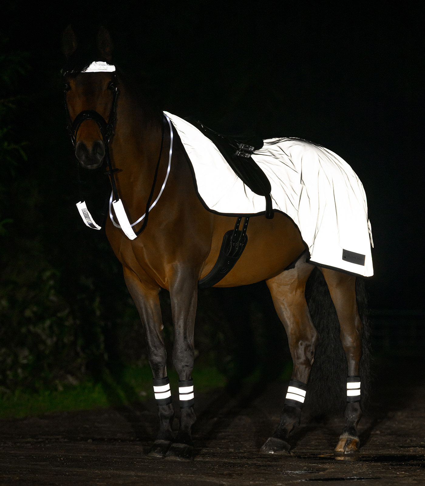REFLEX Exercise rug, silver grey