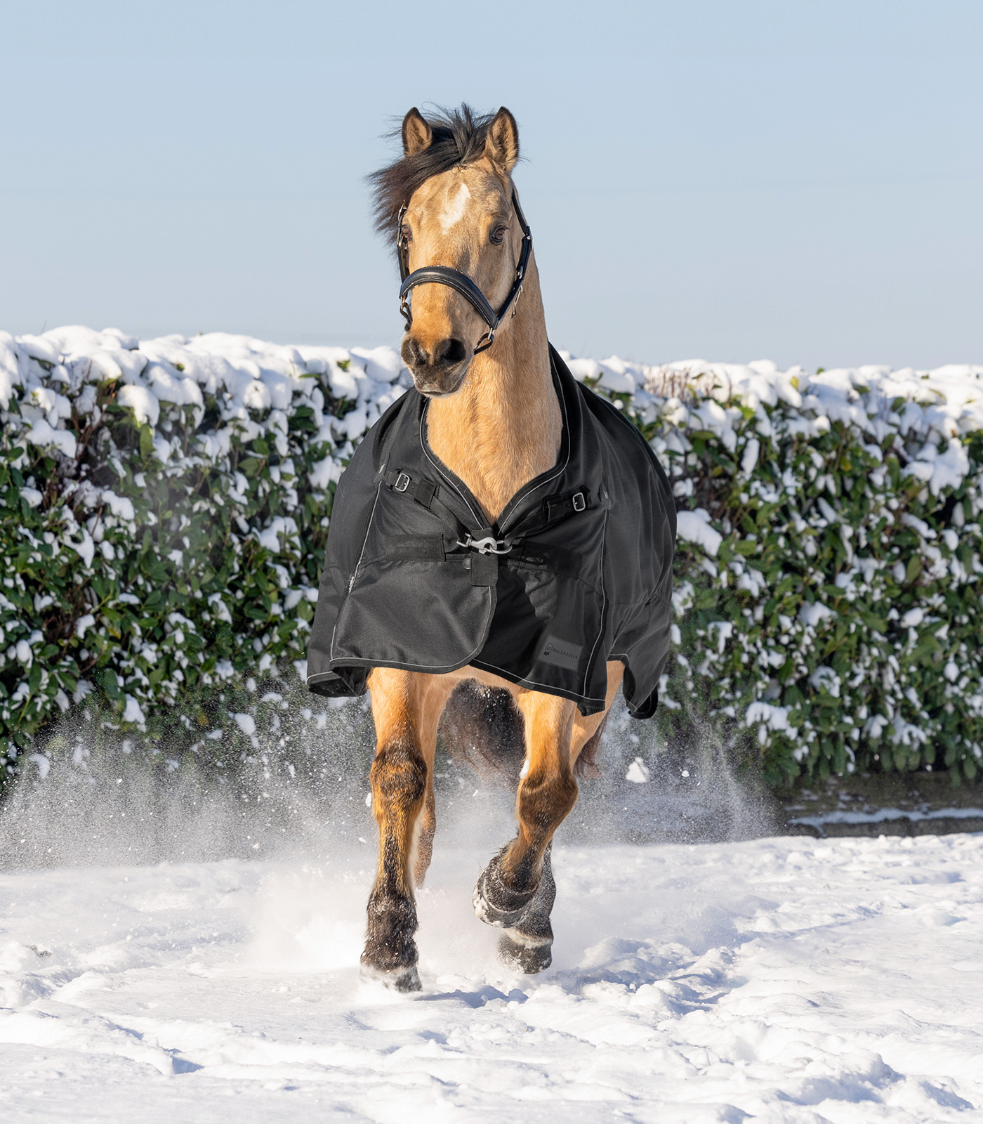 Outdoordecke Scandic, High Neck, 100 g