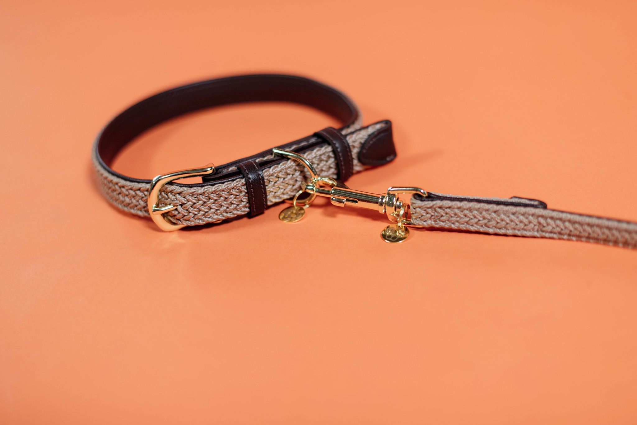 Nylon braided dog lead
