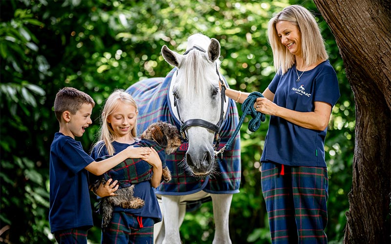 Horseware Christmas Special Horseware Christmas Special
