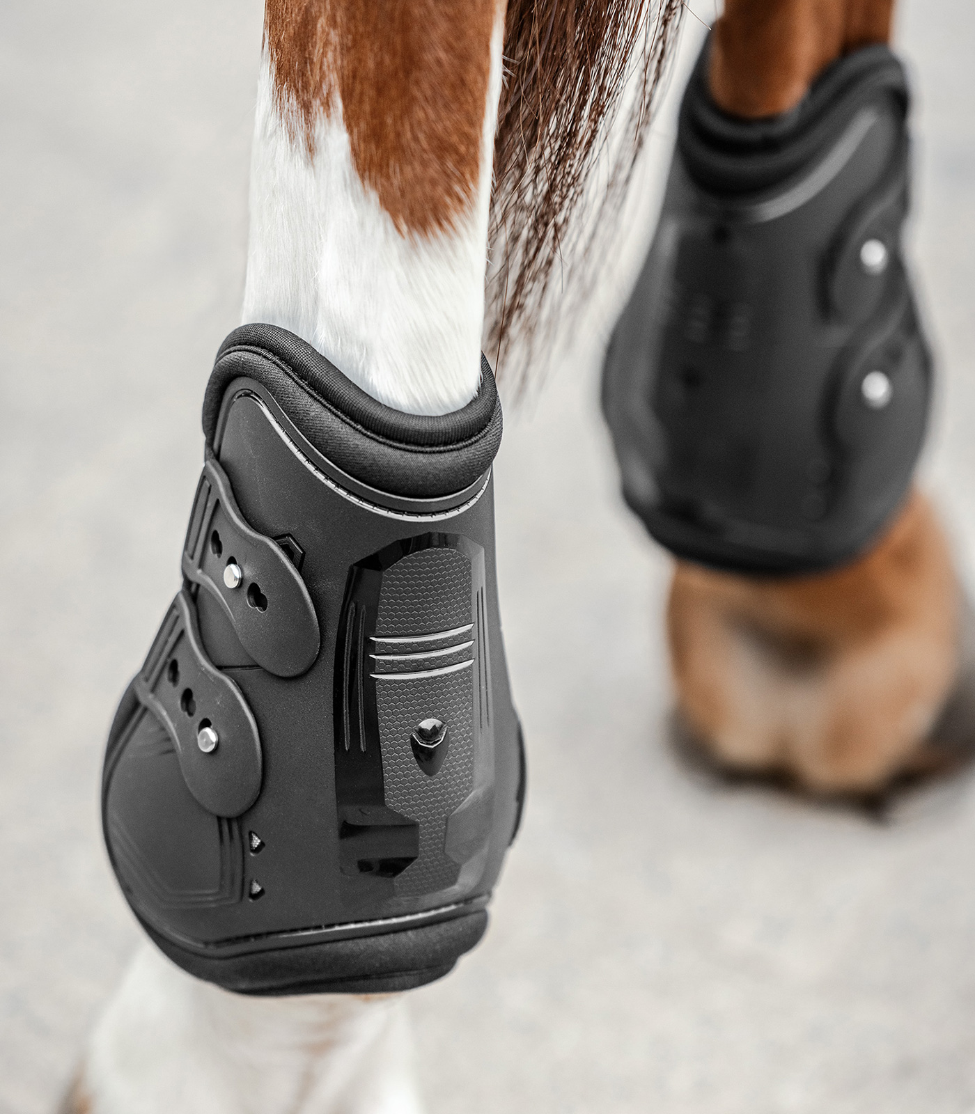 Fetlock boot Memory Foam Pro