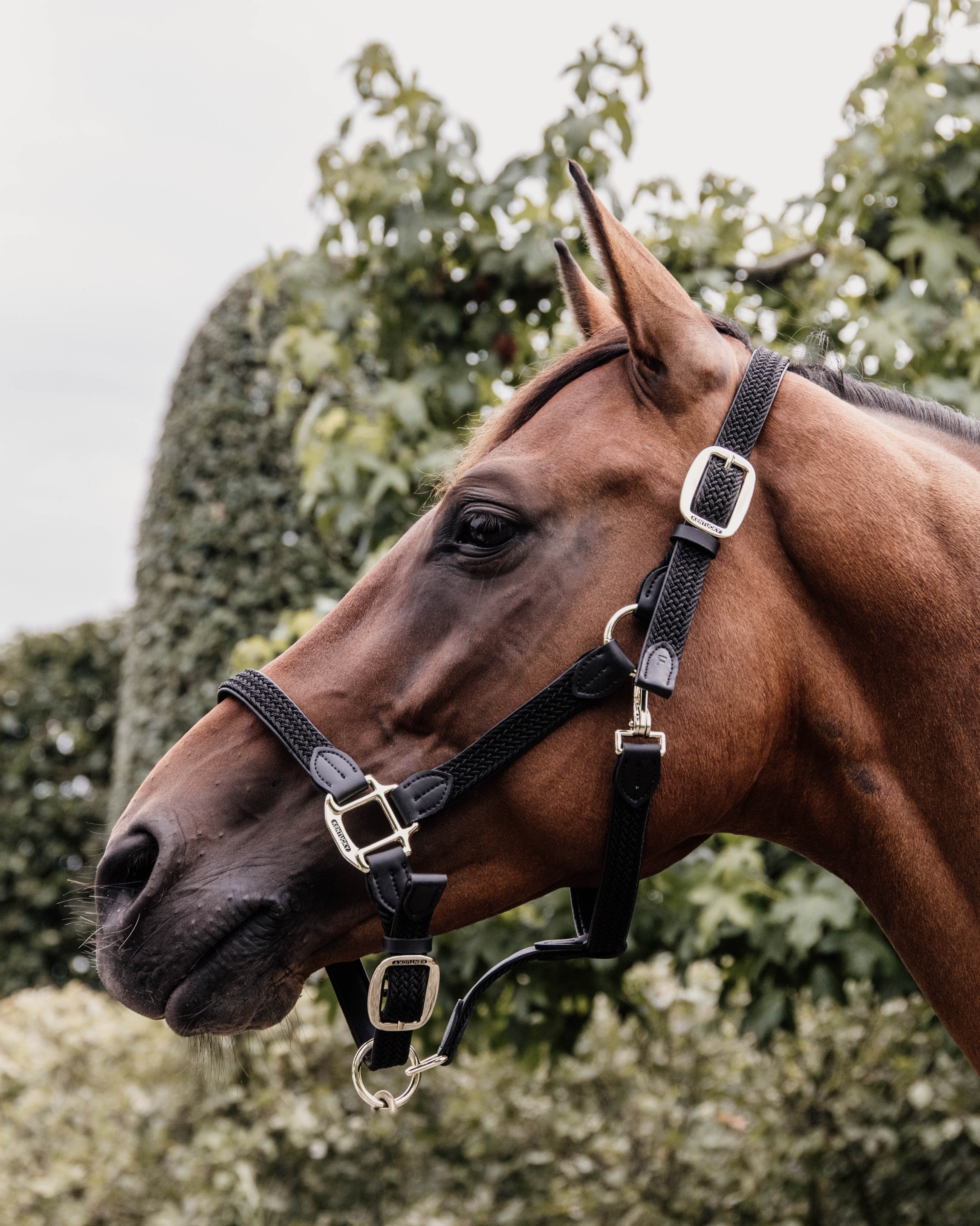 Halter Braided Nylon