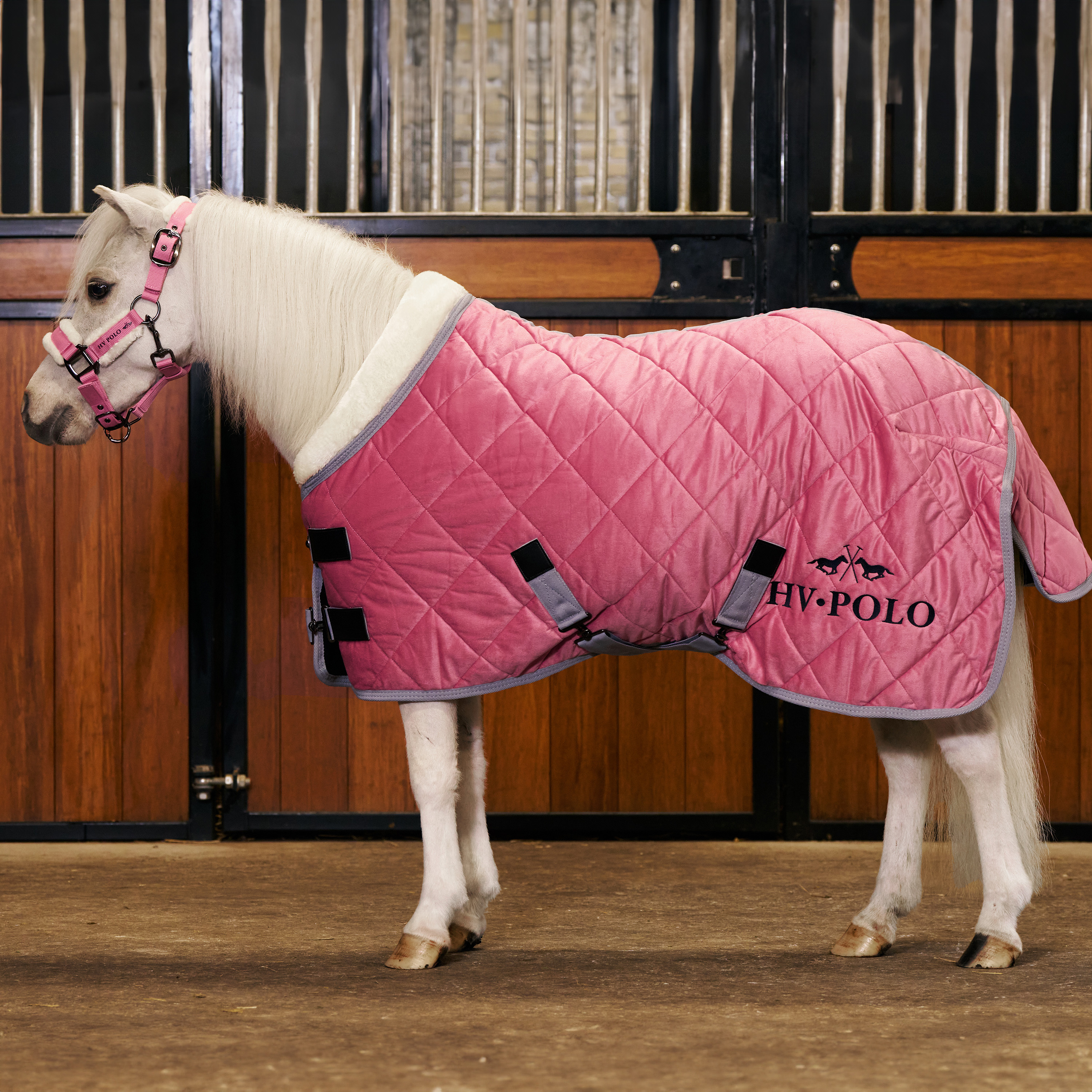 Stalldecke Sacha