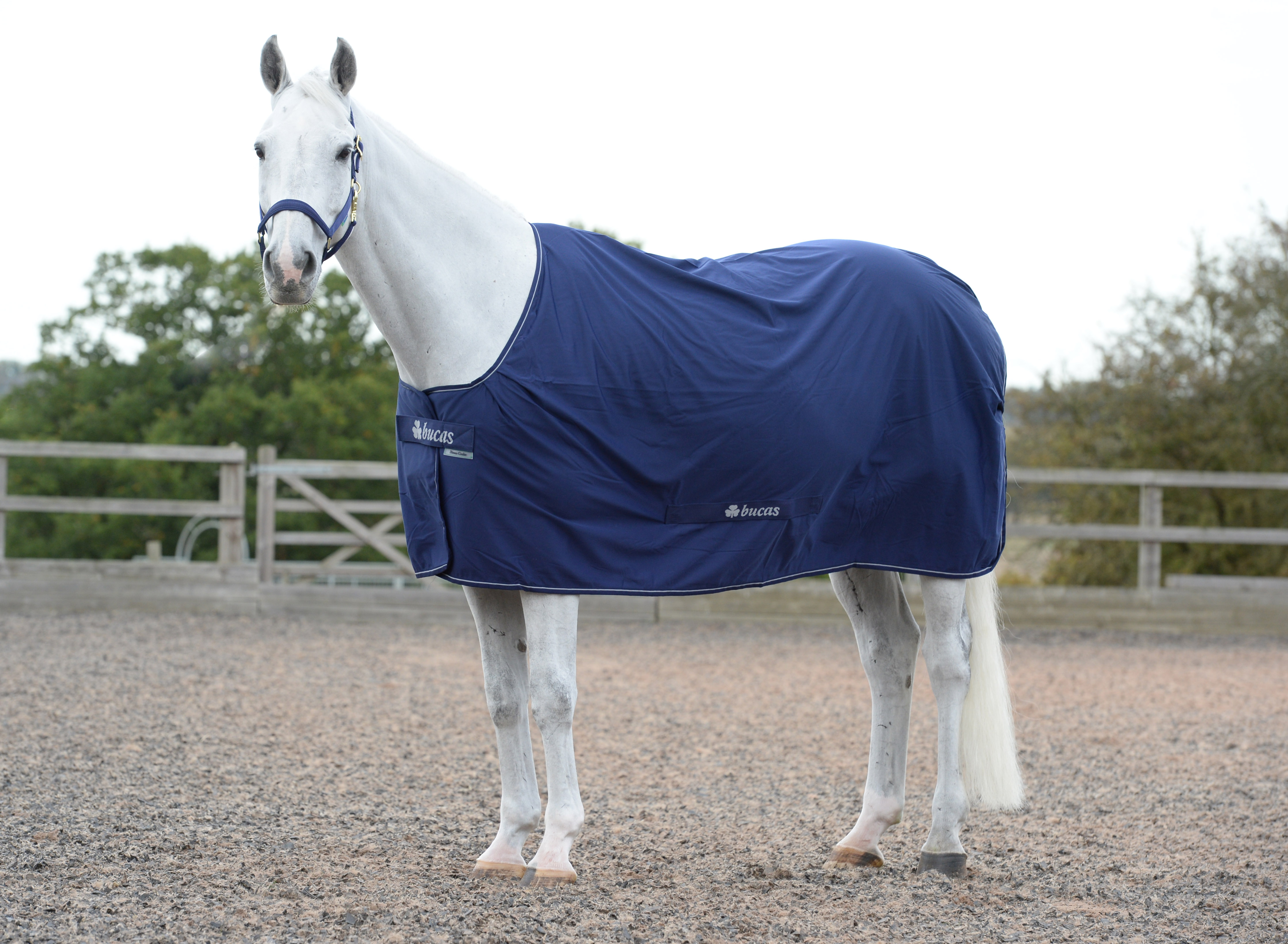 Multifunktionsdecke Power Cooler in Navy/Silver