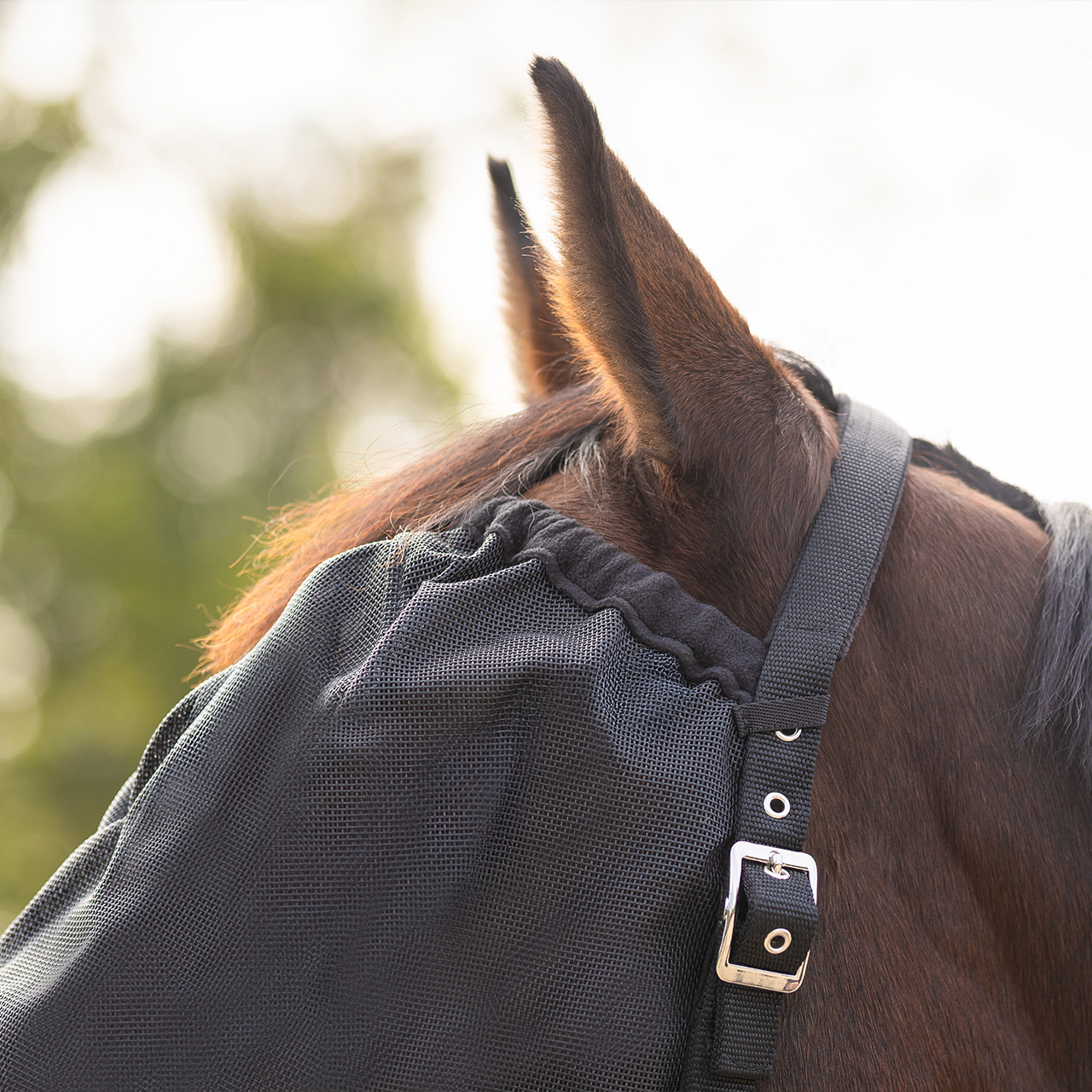 Halter fly mask combi