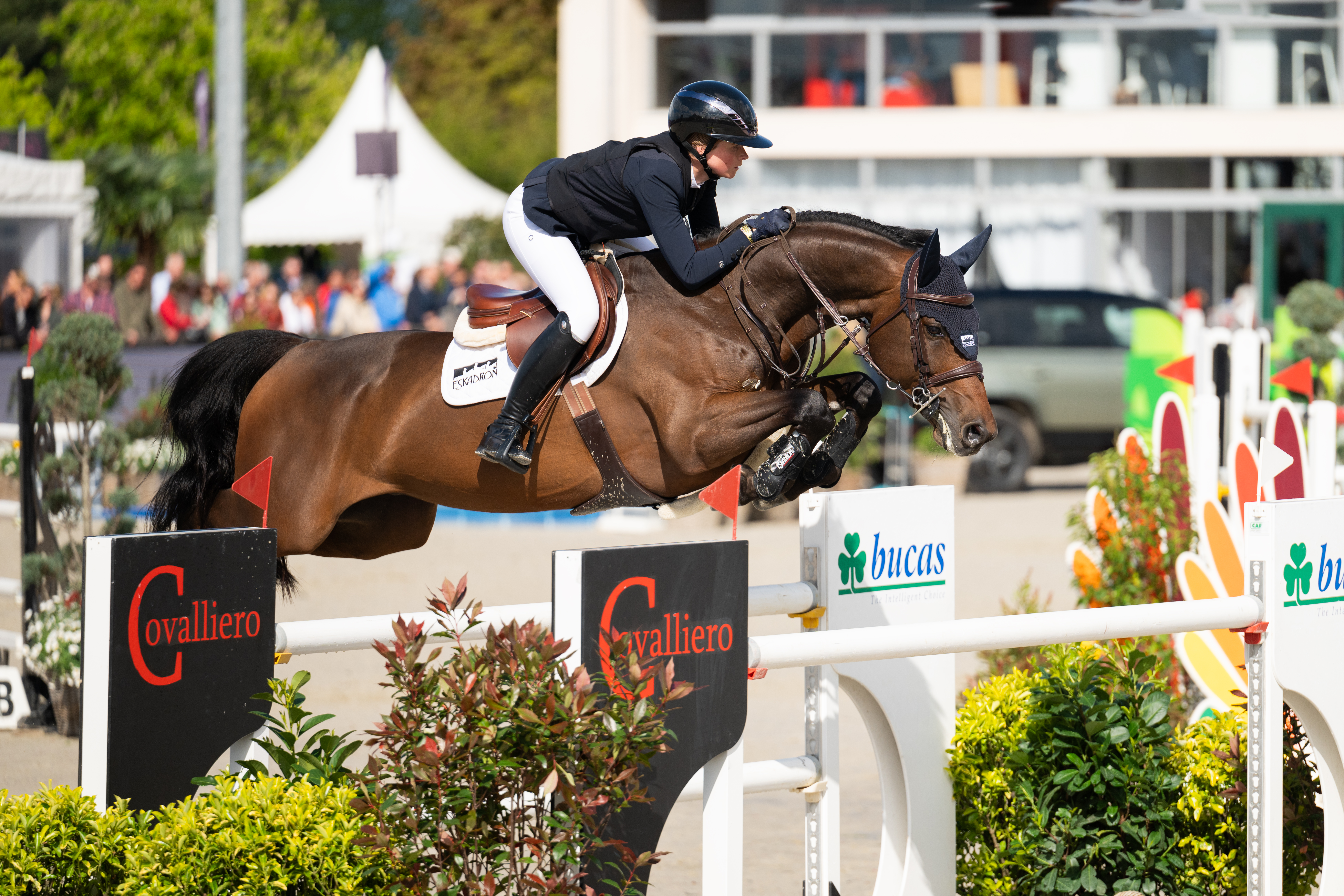 Reithose Damen Amia Sd Kn