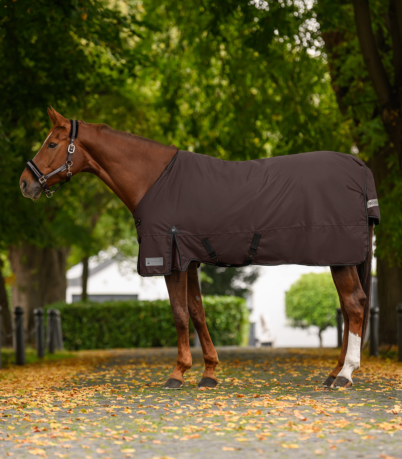 Outdoor blanket Arctic, 300 g