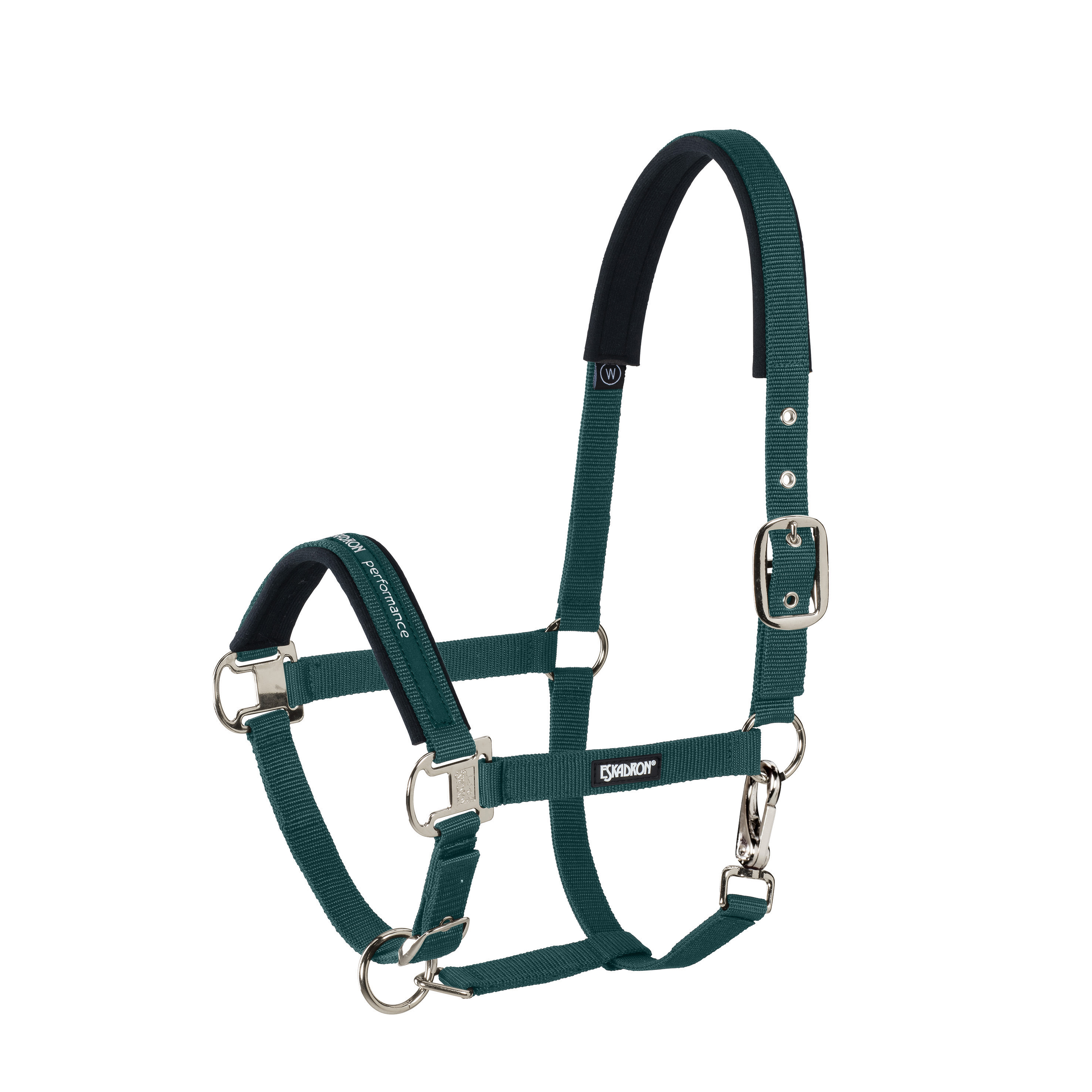 Halter Pin Buckle