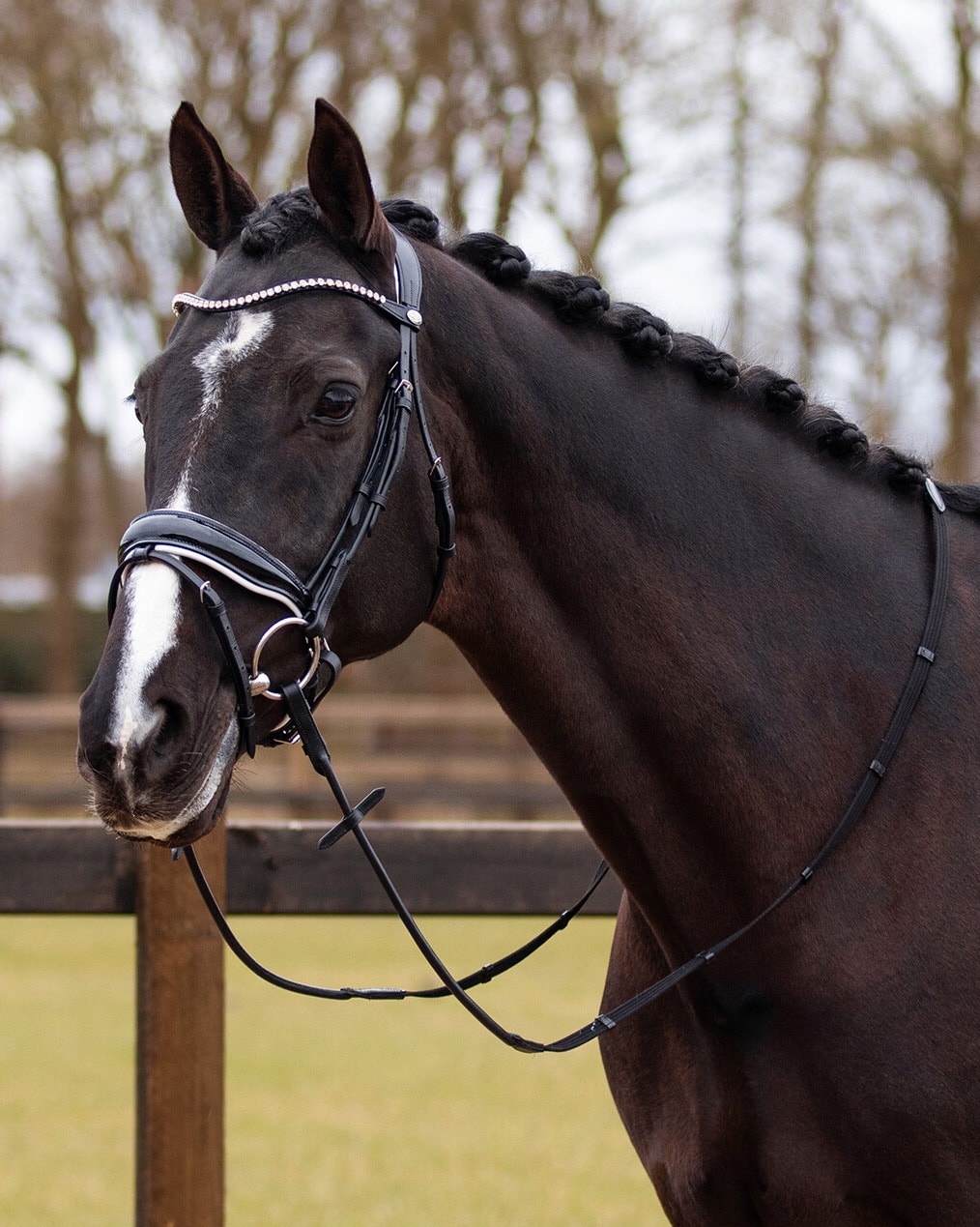 Snaffle Nehza