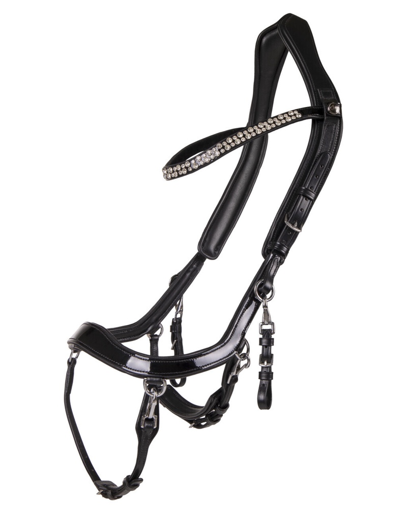 Snaffle FaySport Shine