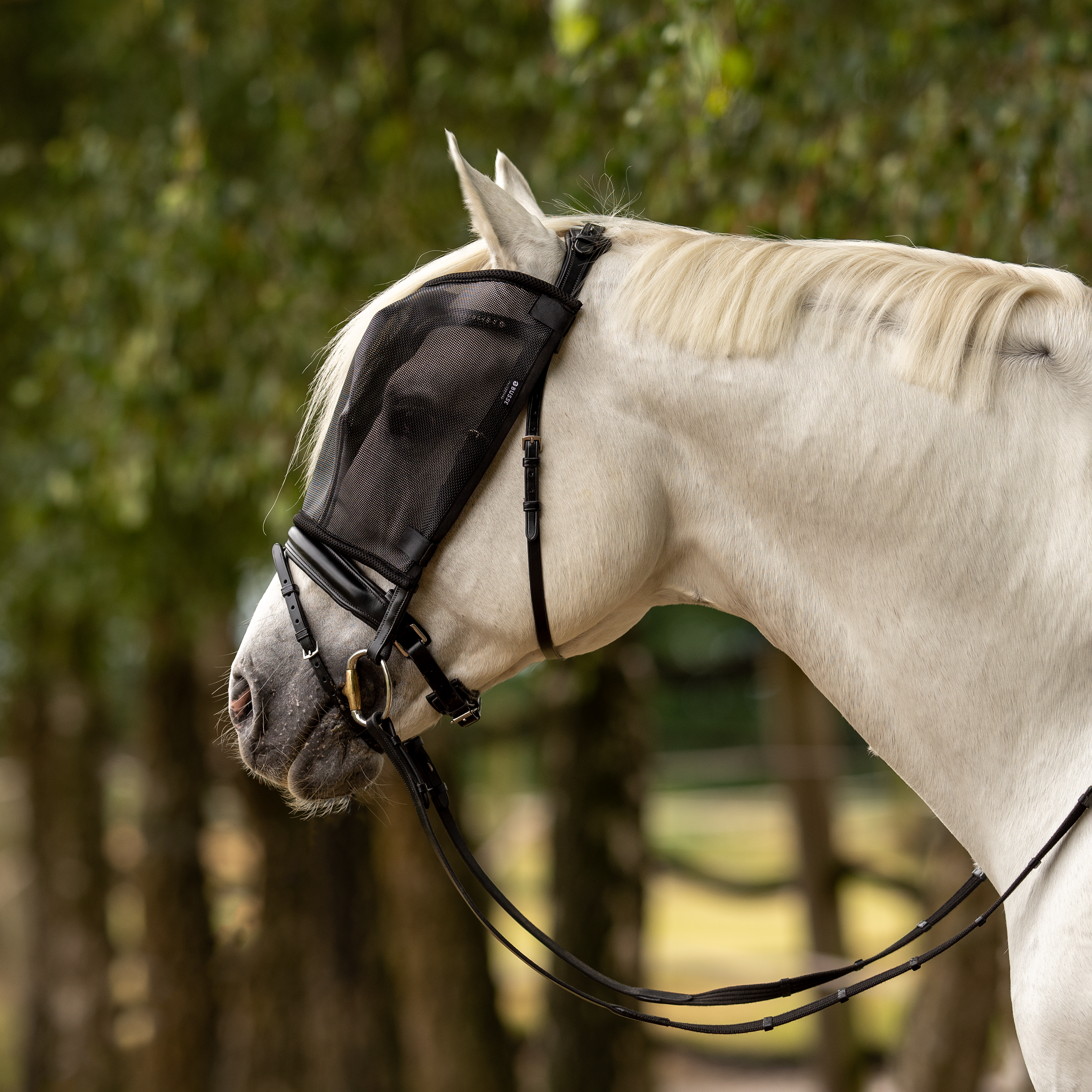 Masque anti-mouches Riding