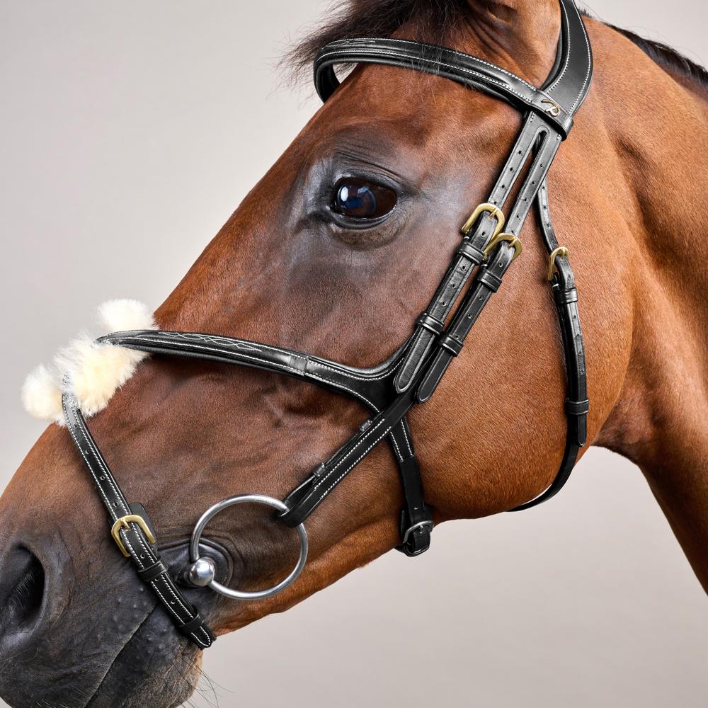 Trense mit mexikanischem Reithalfter DY | Dy'on