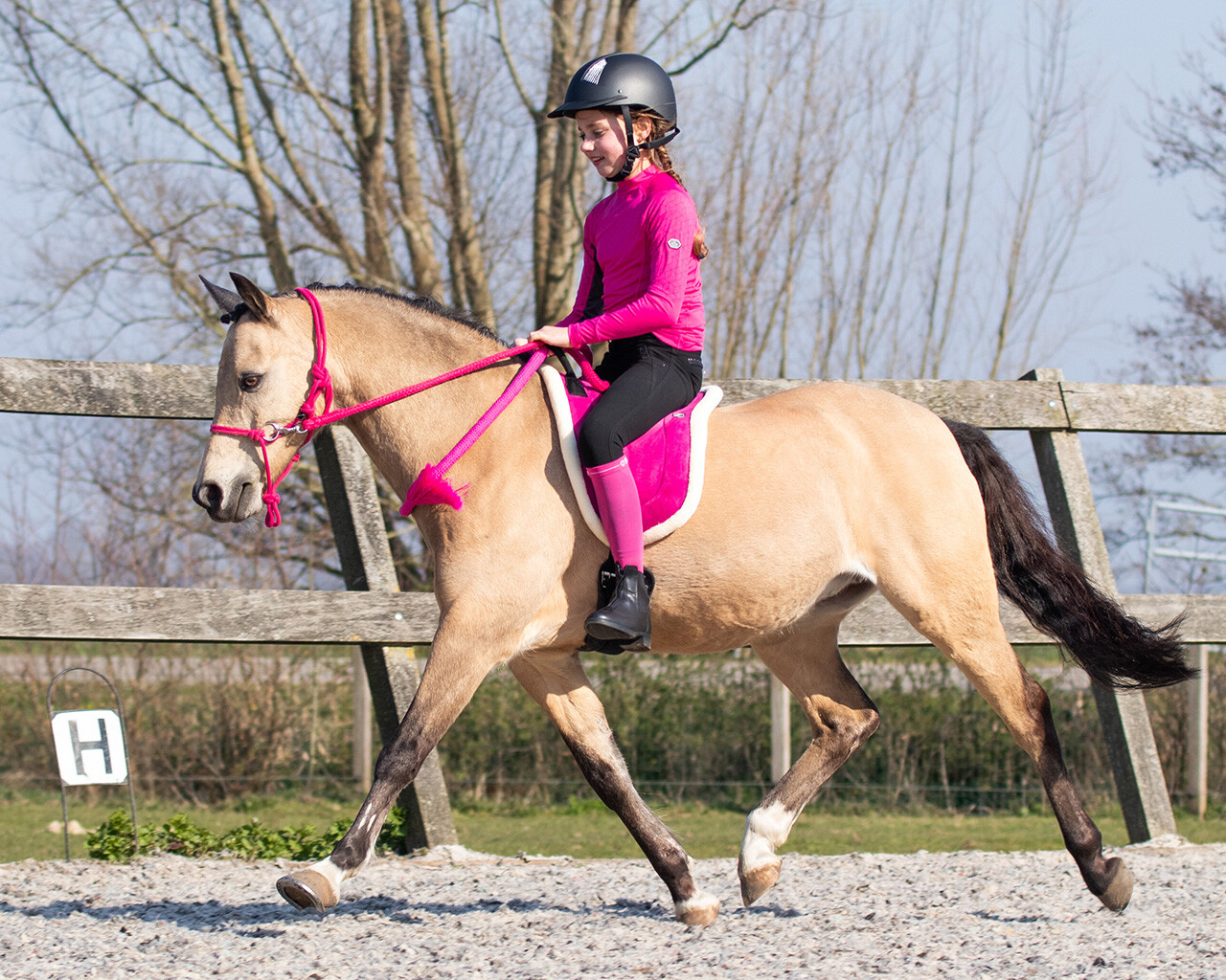 Bareback Pad