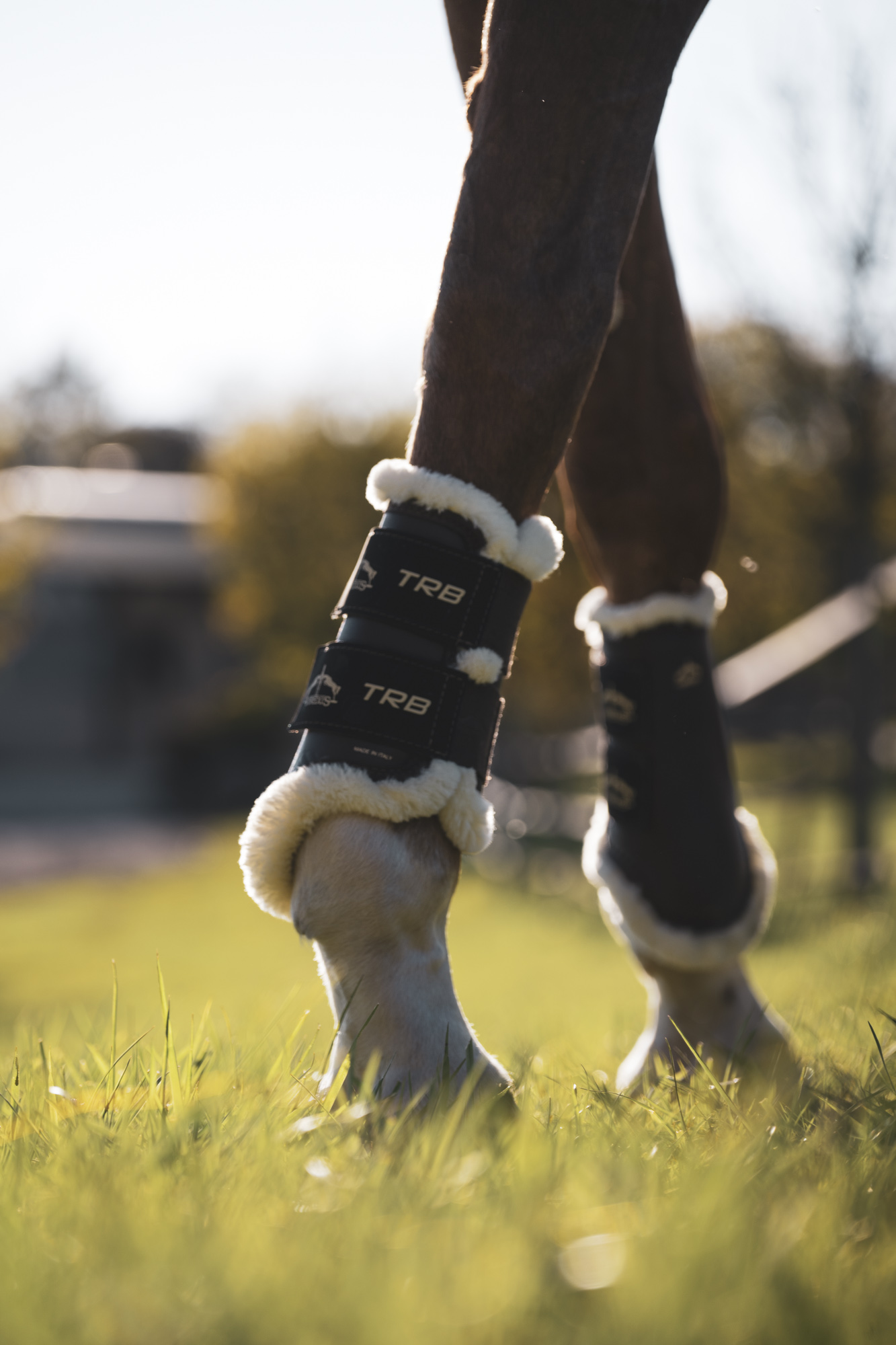 Gamaschen TRB Save the Sheep Front