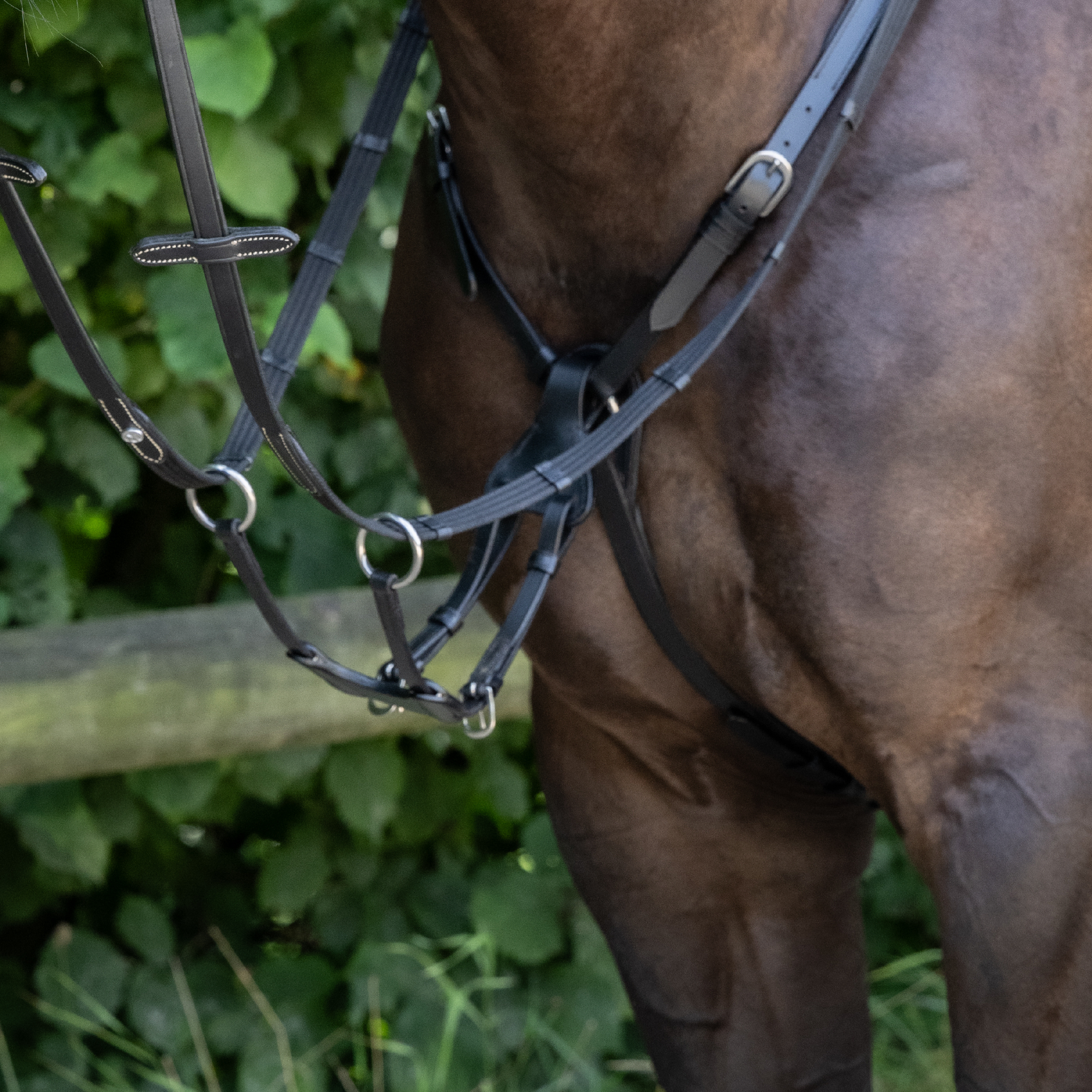 Breastplate IMOLA II